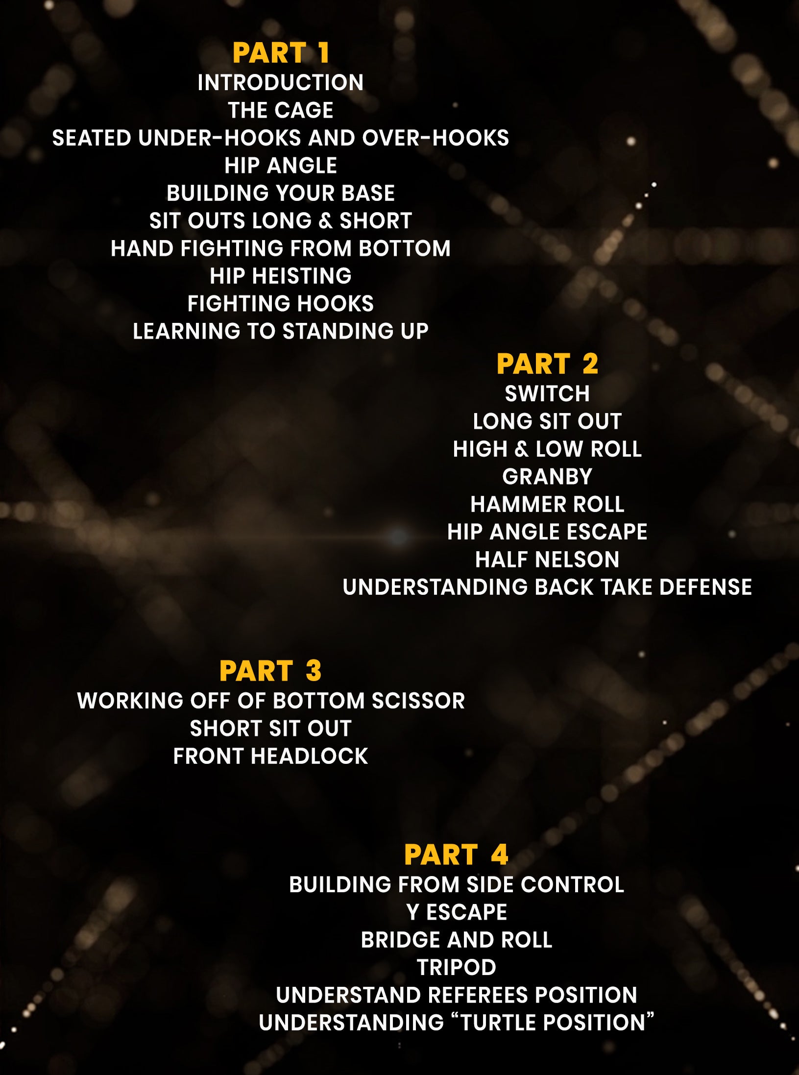 Championship Catch Wrestling: Bottom Defense & Counter Offense by Josh Barnett image 2