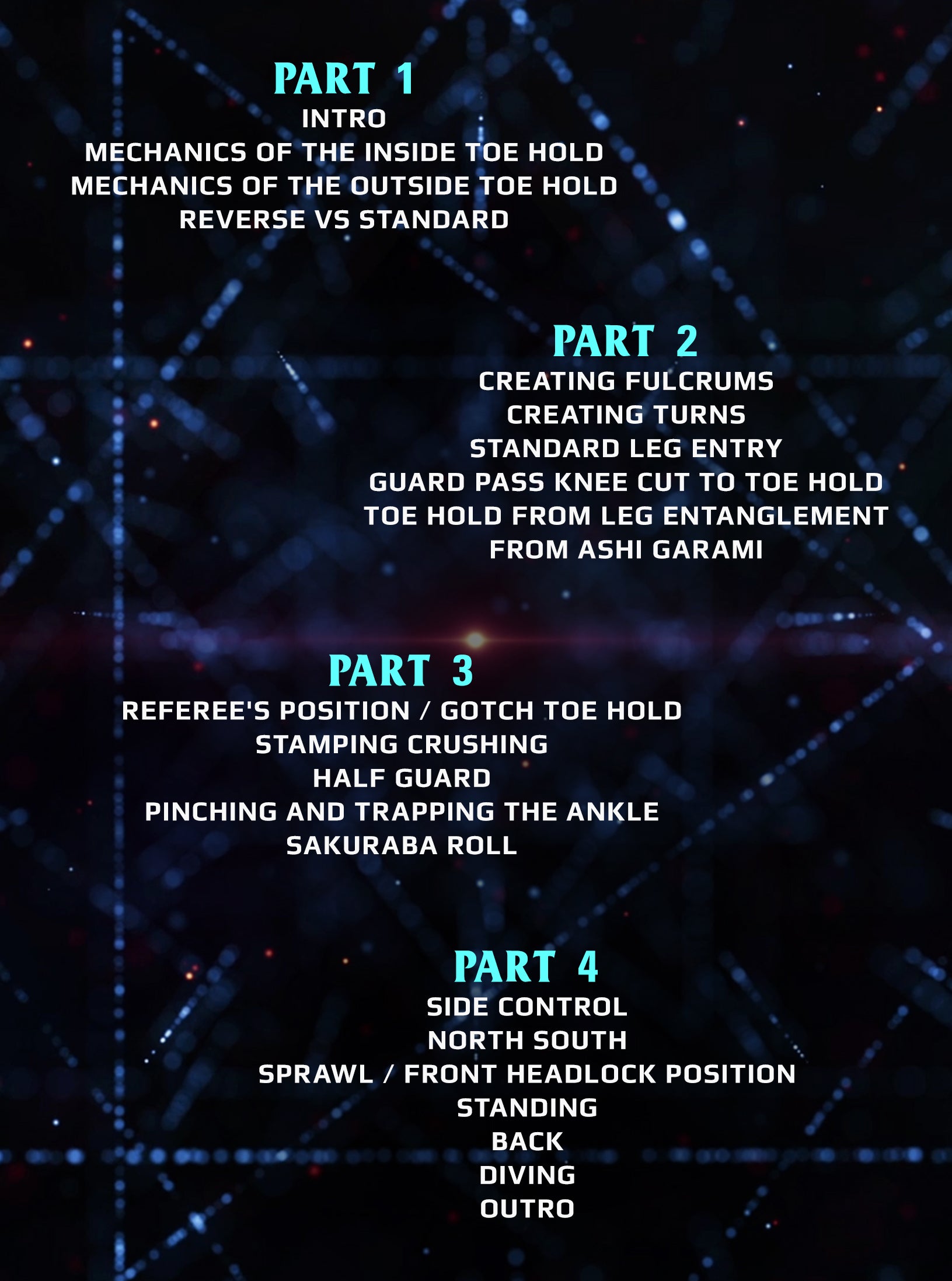 Championship Catch Wrestling: The Toe Hold by Josh Barnett image 2