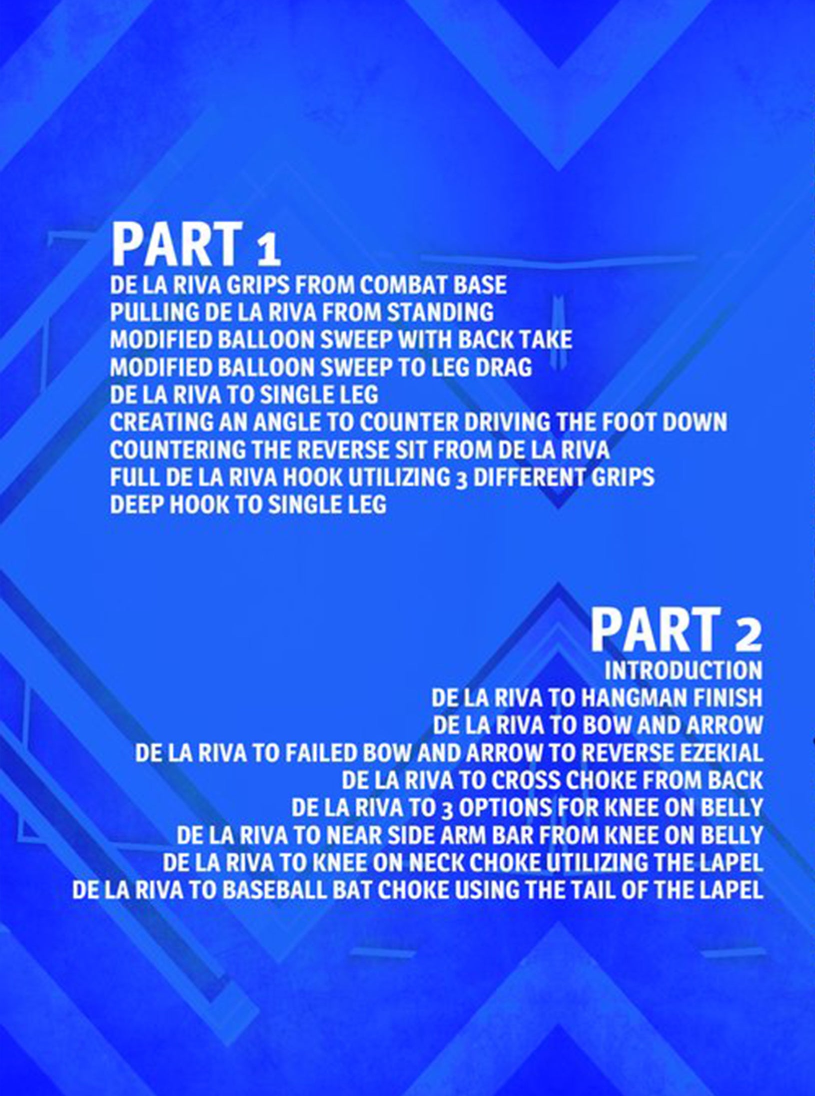 Precision De La Riva Attacks by Jay Wadsworth image 2