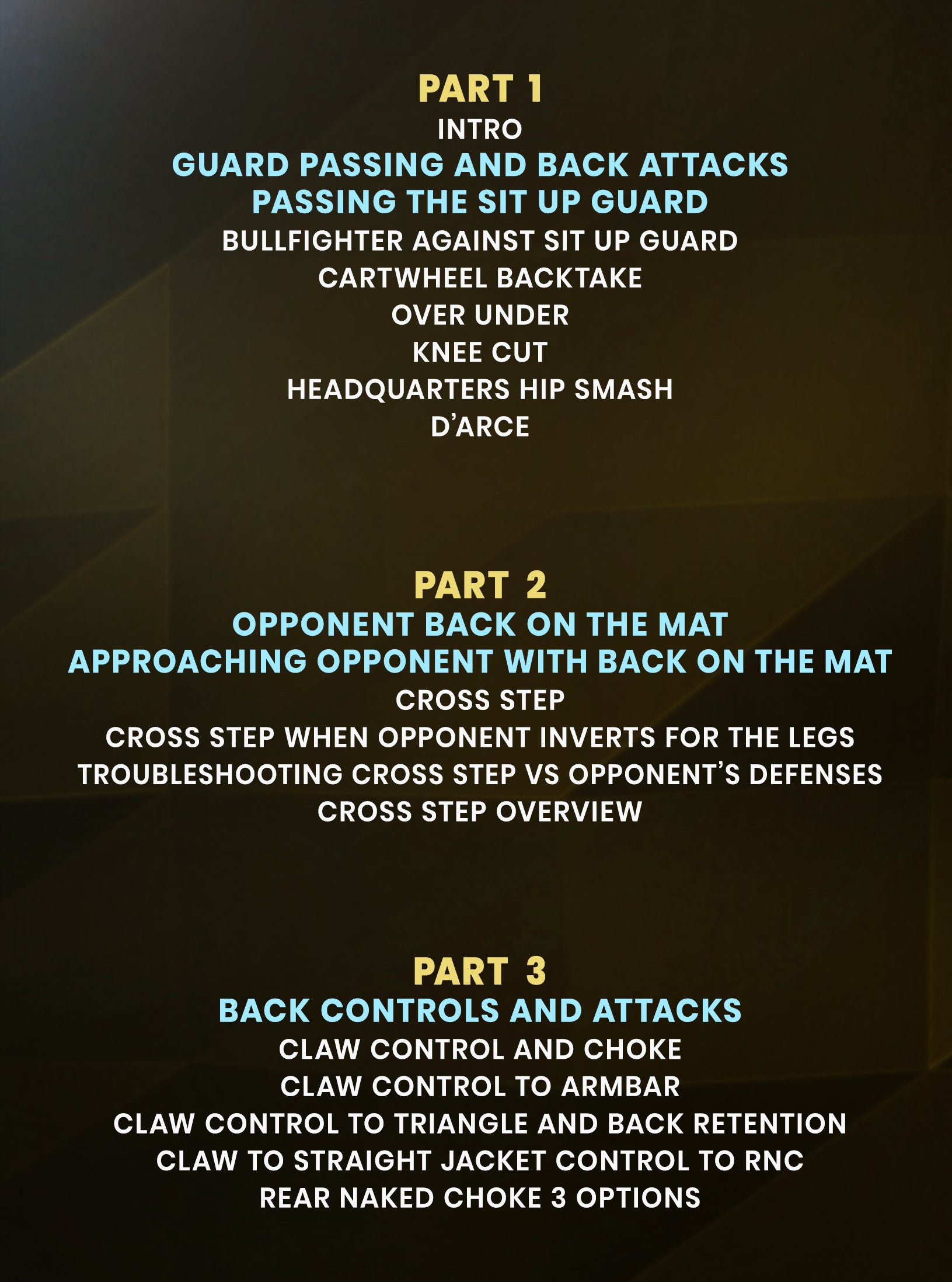 No Gi No Problem by Jeferson Guaresi image 2