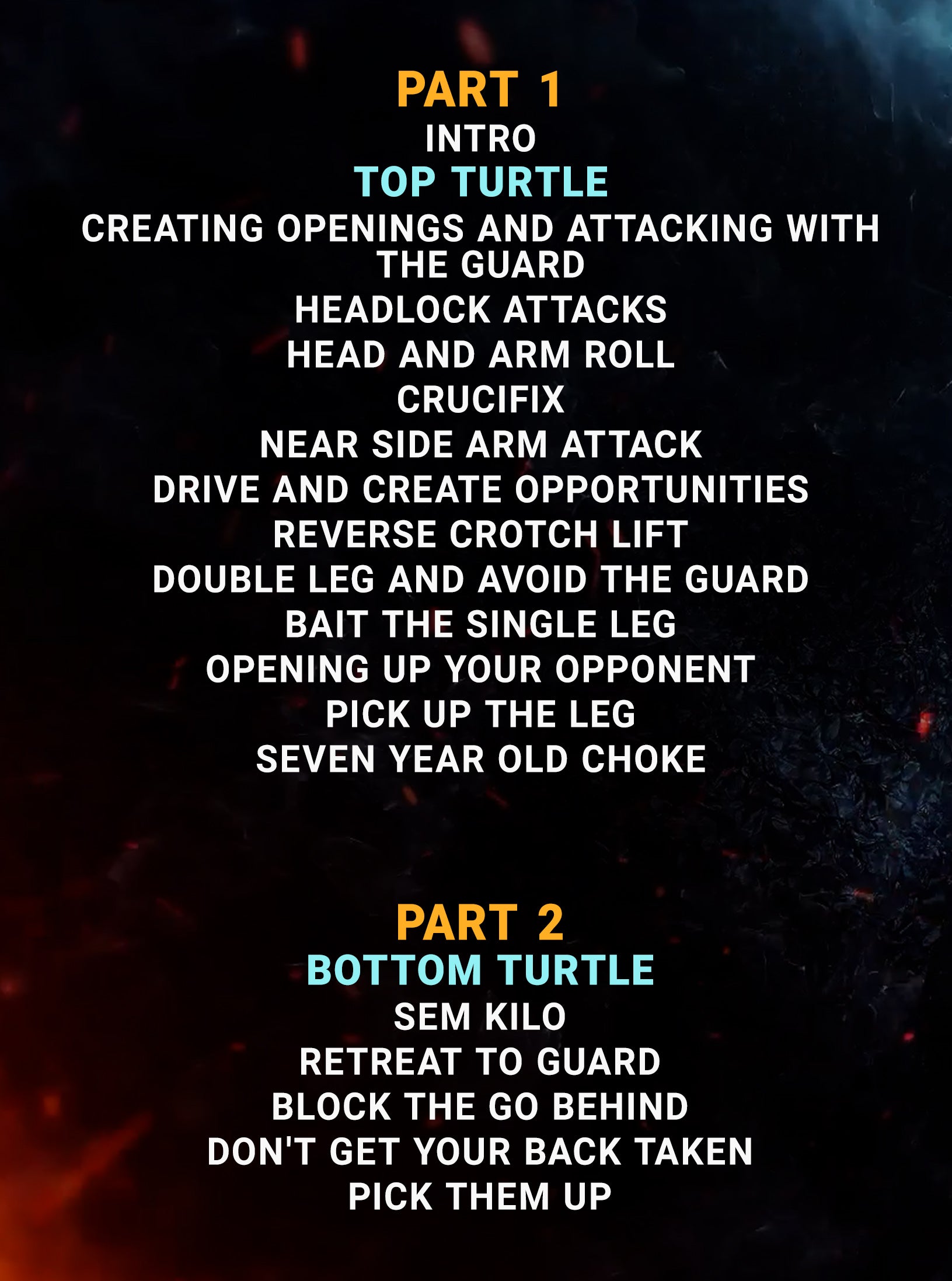 Slow and Steady Turtle Position by Jeff Glover image 2