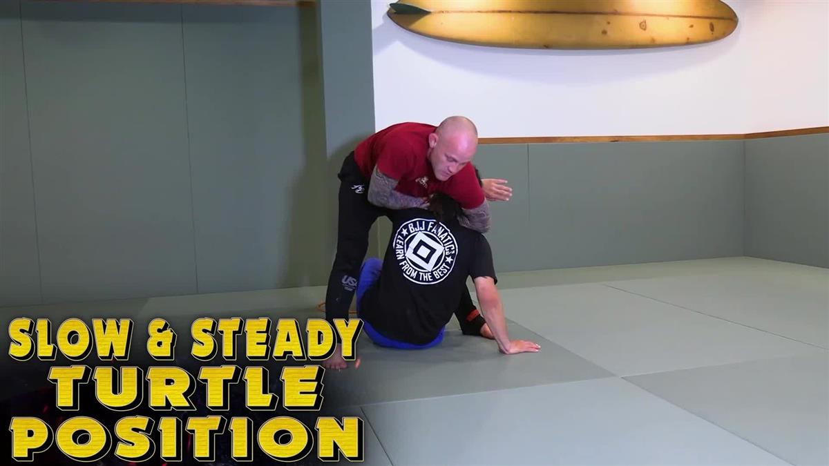 Slow and Steady Turtle Position by Jeff Glover image 3