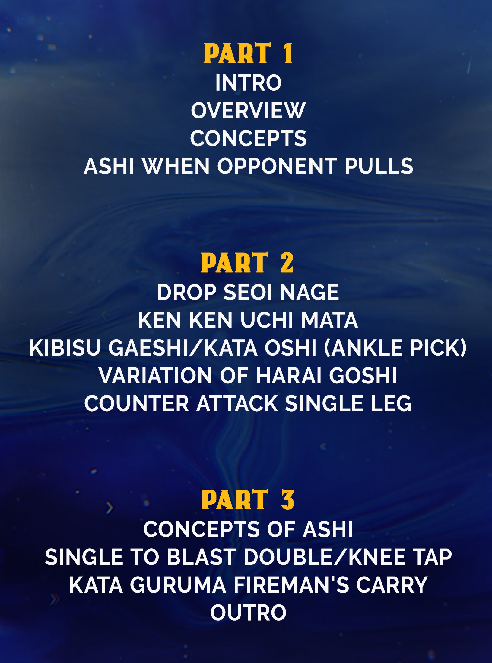 Takedowns For Your Jiu Jitsu Game by Joao Gabriel Rocha image 2