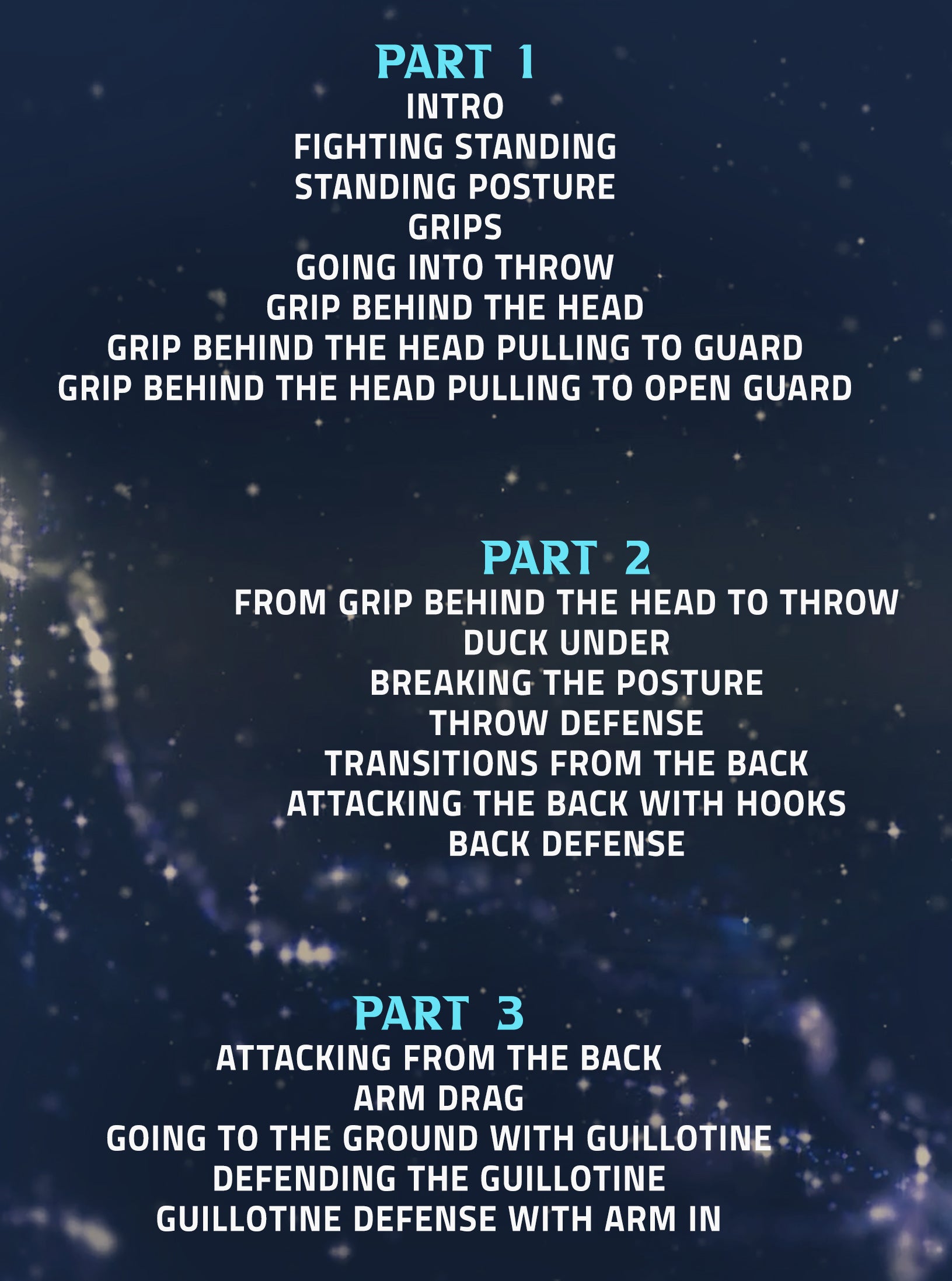 Gracie Secrets: Top To Bottom by Kyra Gracie image 2