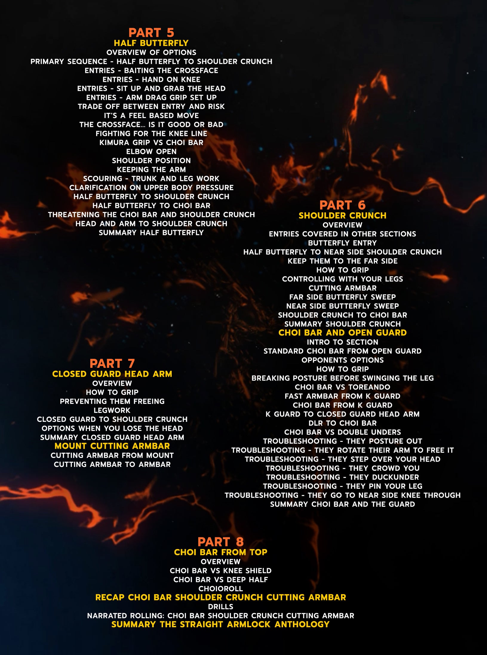 The Straight Armlock Anthology by Lachlan Giles image 4