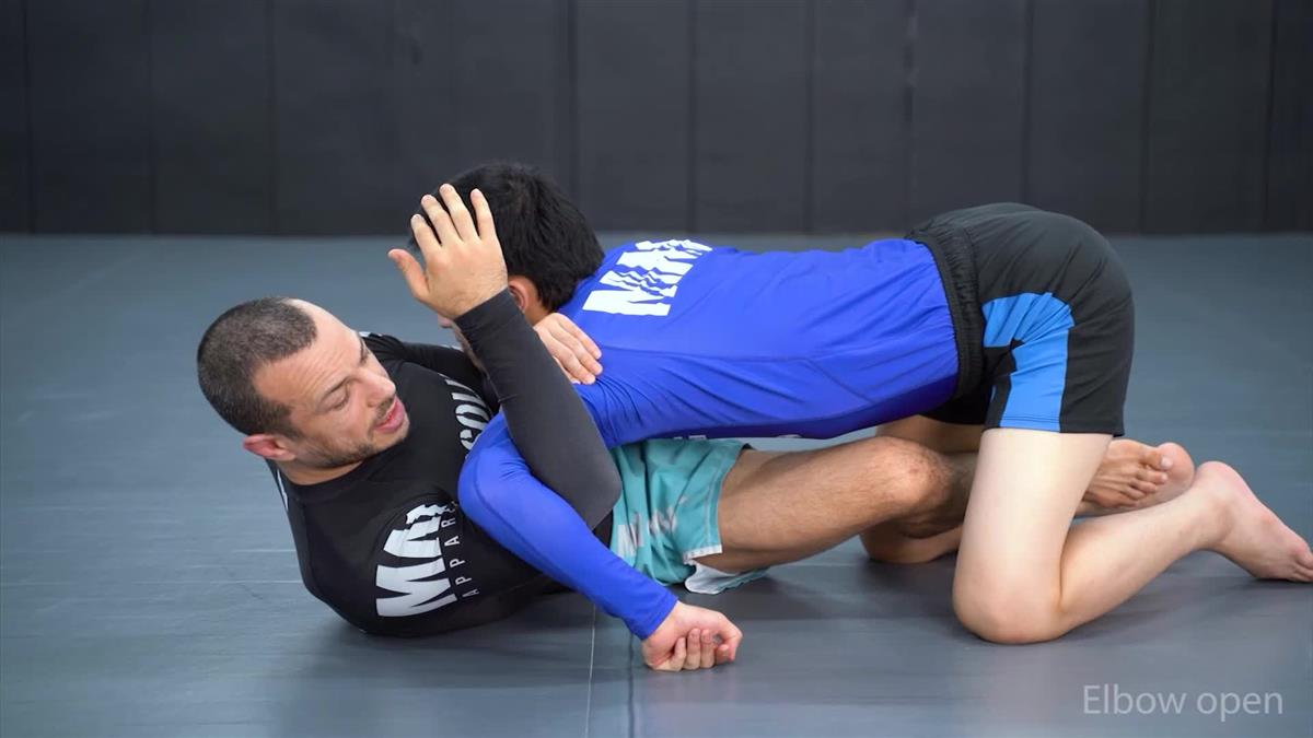 The Straight Armlock Anthology by Lachlan Giles image 6