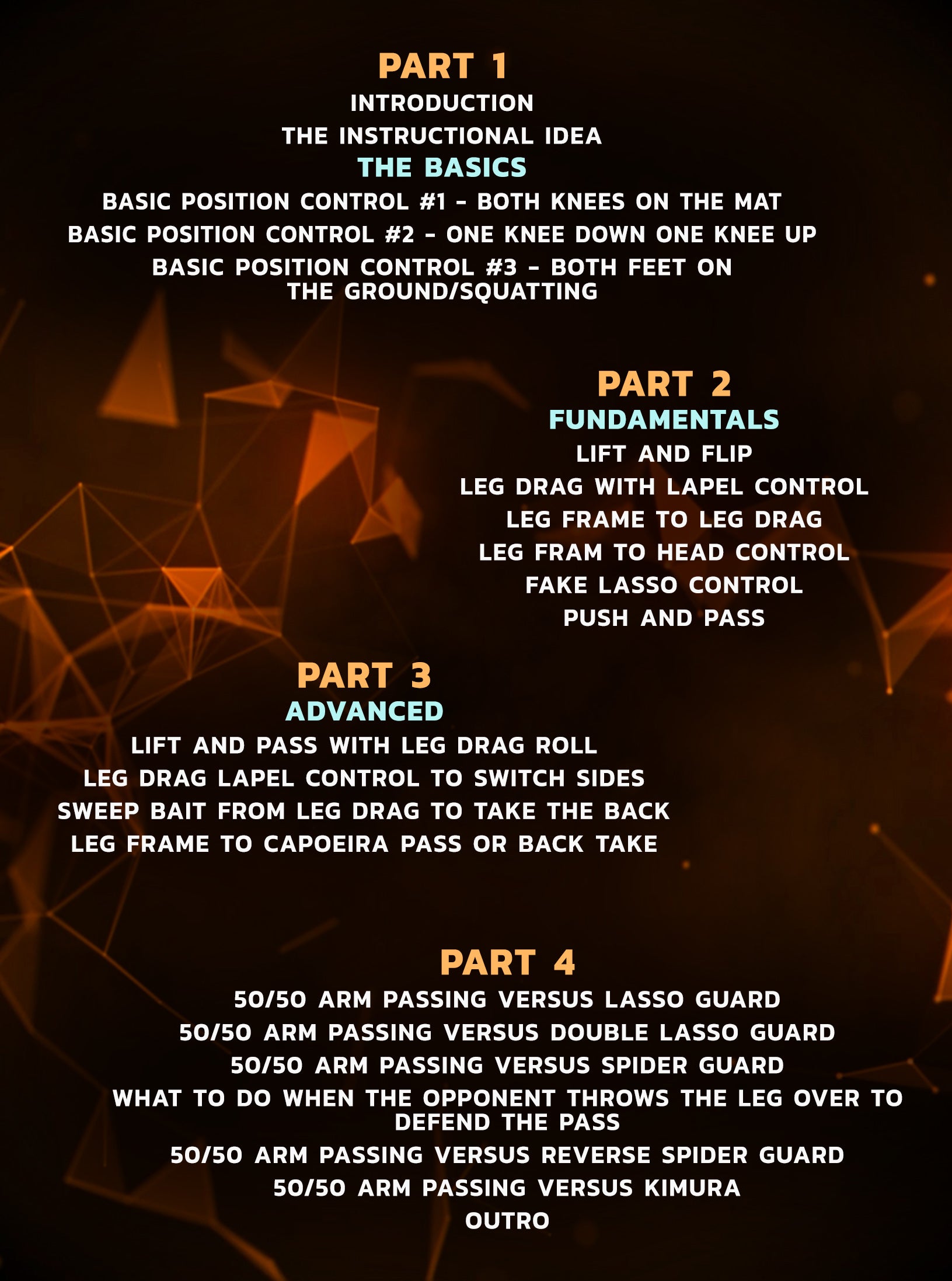 The 50/50 Arm Passing System: Gi by Leo Vieira image 2