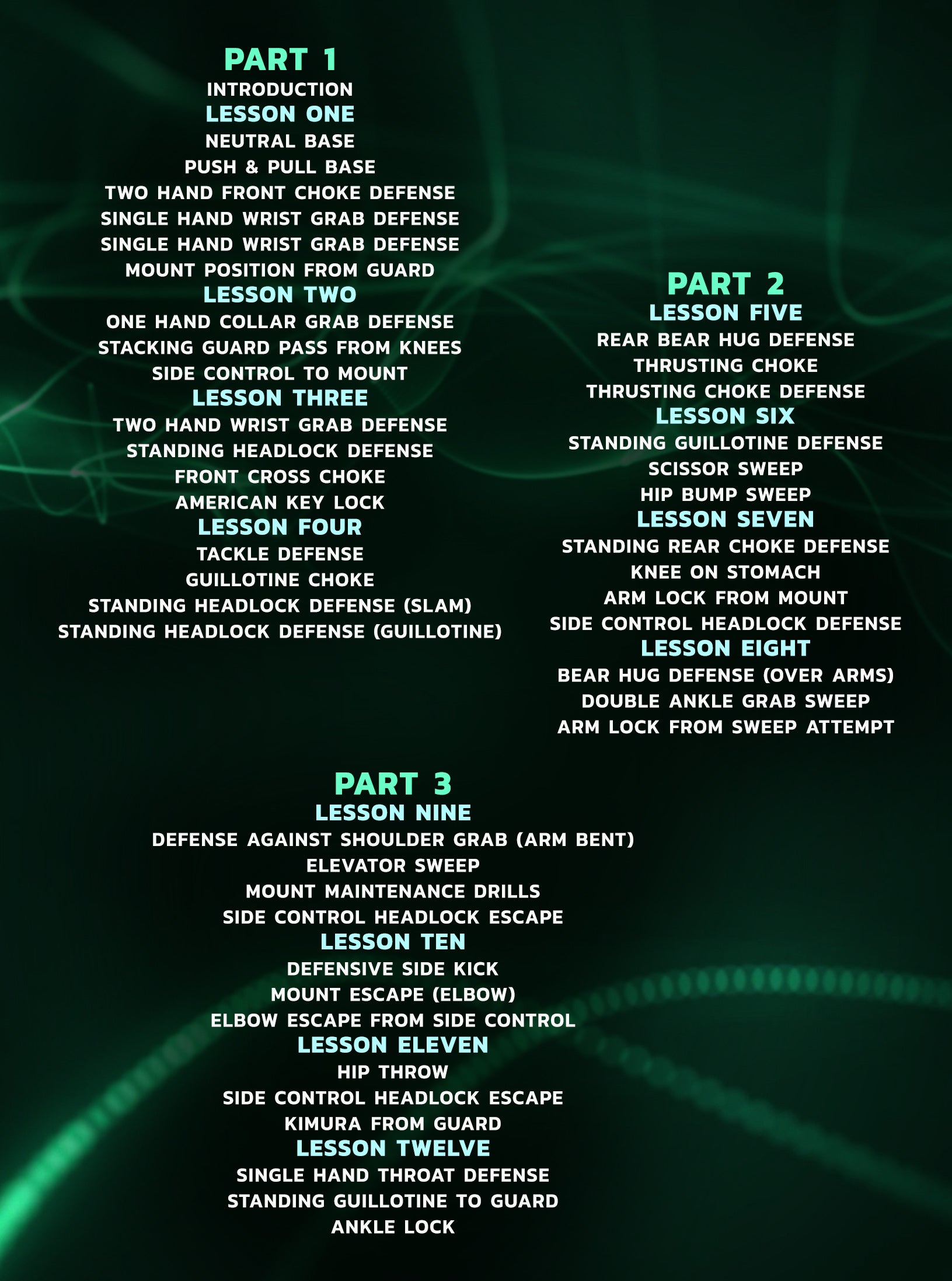 The Art of Life: Learn From The Jiu Jitsu Ushi Deshi by Leonardo Xavier image 2