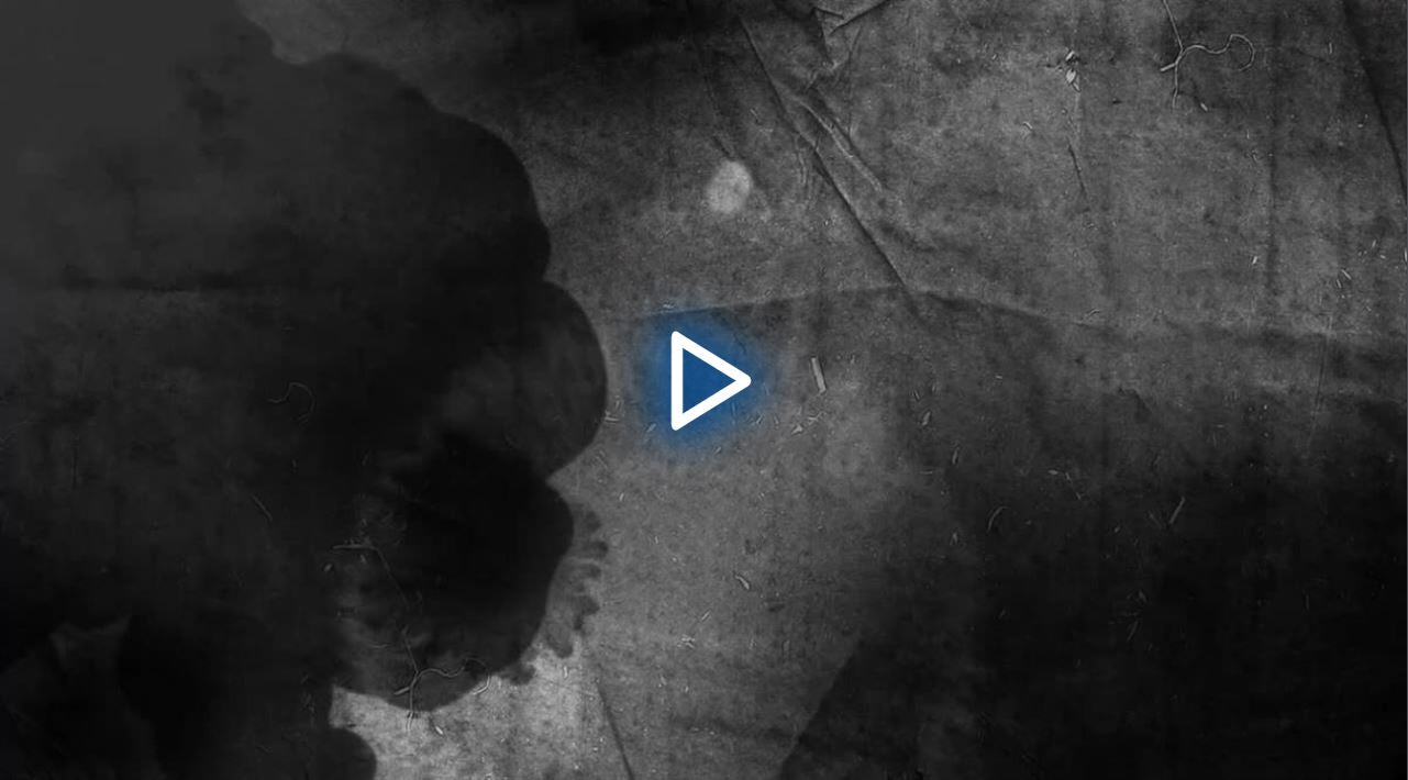 Pure Jiu Jitsu by Luis Heredia image 3