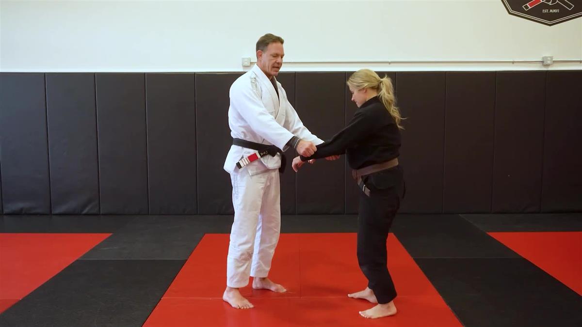 White To Grey Belt Fundamentals by Luke Harris image 5