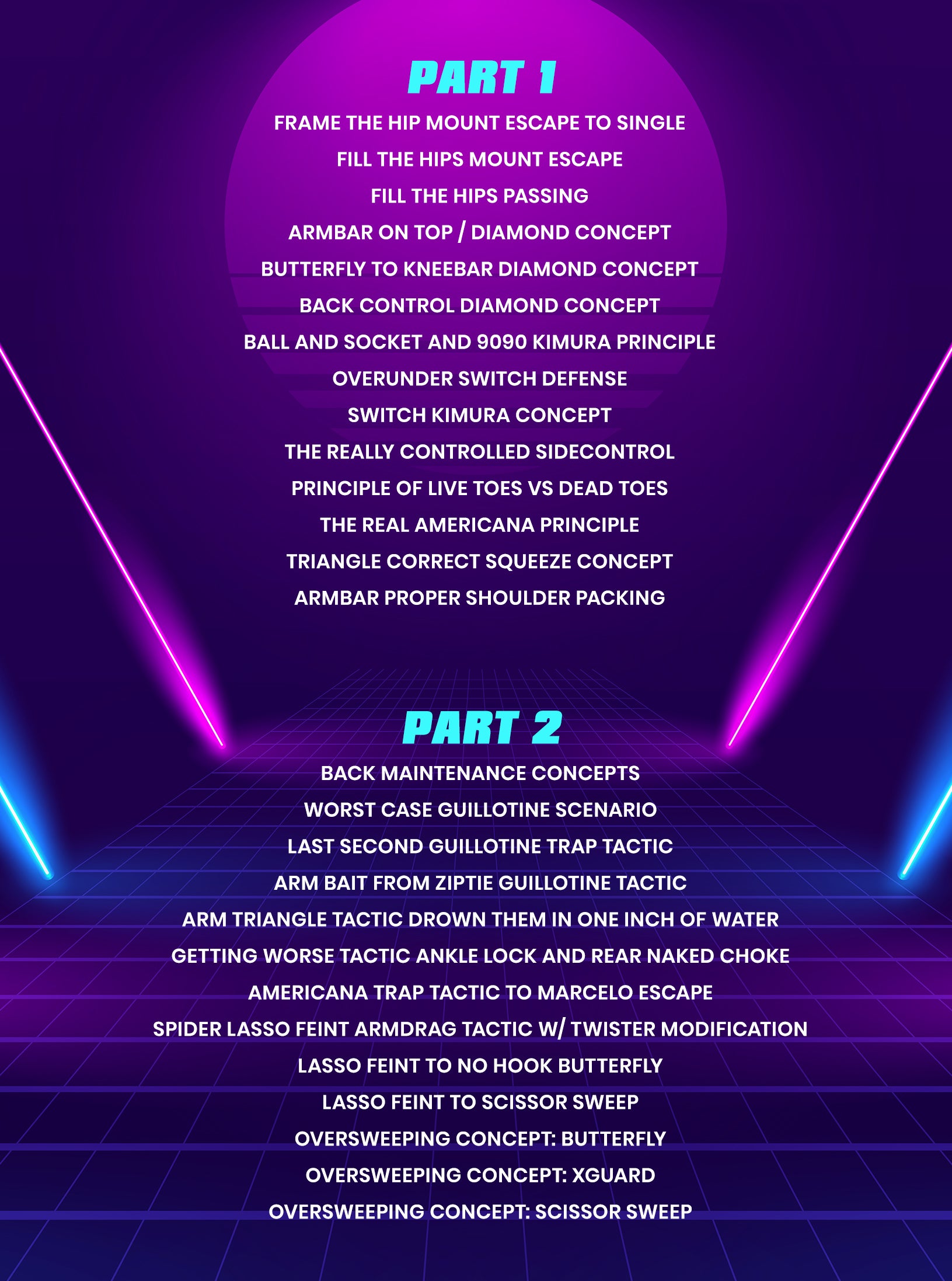 Systematic Winning BJJ Concepts by Malachy Friedman image 2