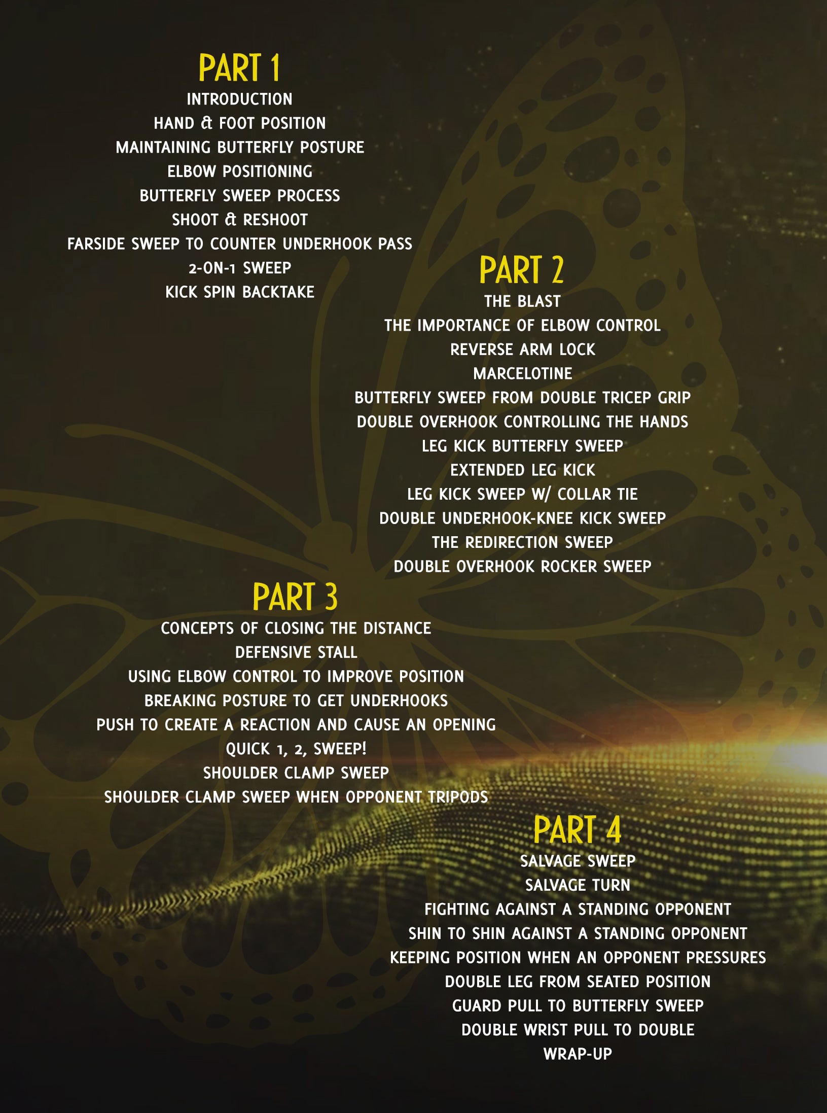 The Complete Butterfly Guard by Marcelo Garcia image 2