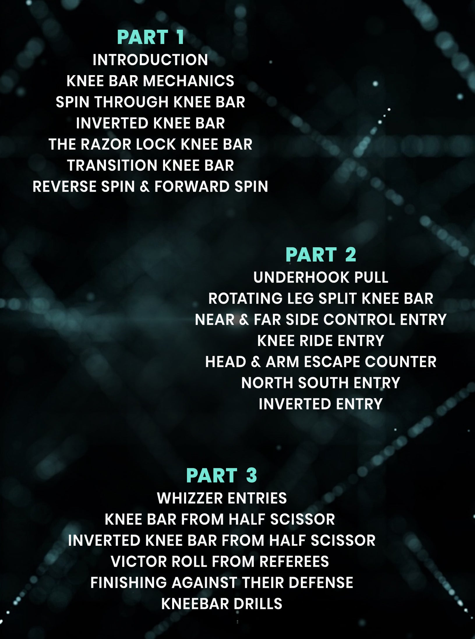 Championship Catch Wrestling: The Knee Bar by Josh Barnett image 2