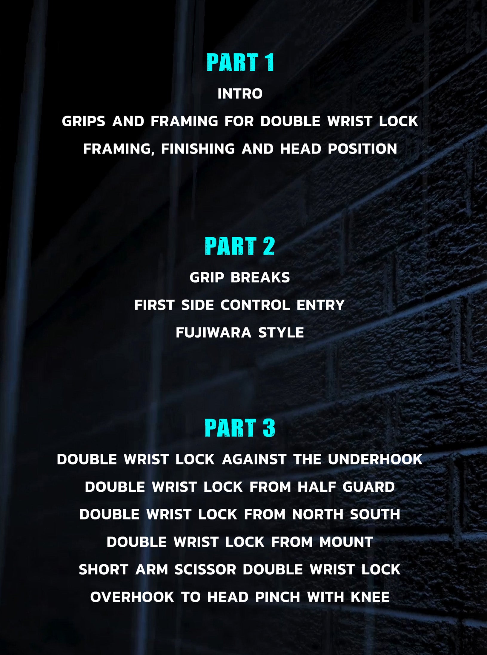 Championship Level Catch Wrestling by Josh Barnett image 2