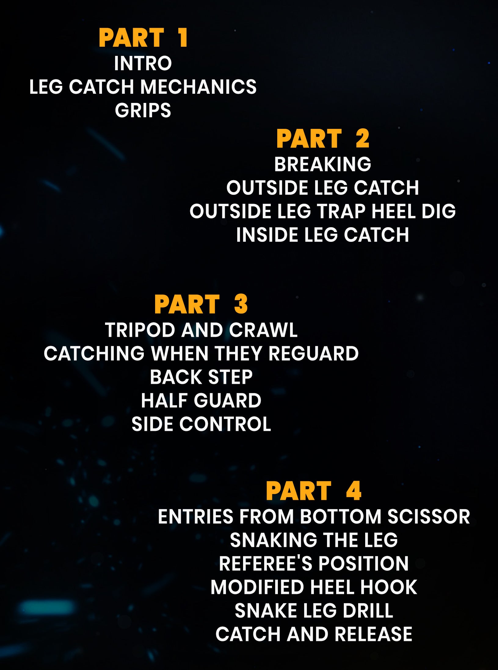 Championship Catch Wrestling: Heel Hooks by Josh Barnett image 2