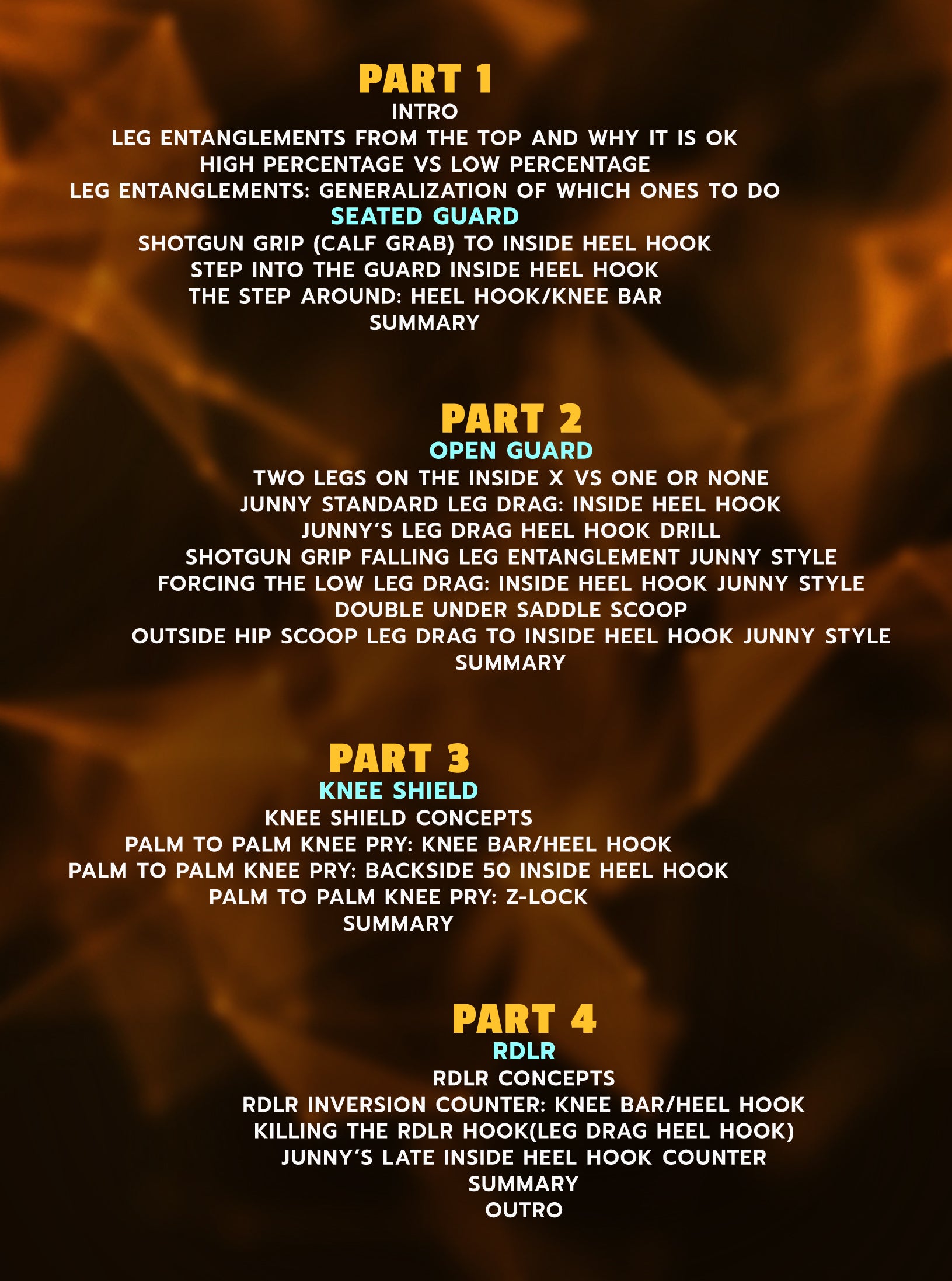 Leg Entanglements From The Creative Mind of Junny Fall From The Top: Seated Guard, Open Guard, Knee Shield, RDLR by Junny Ocasio image 2