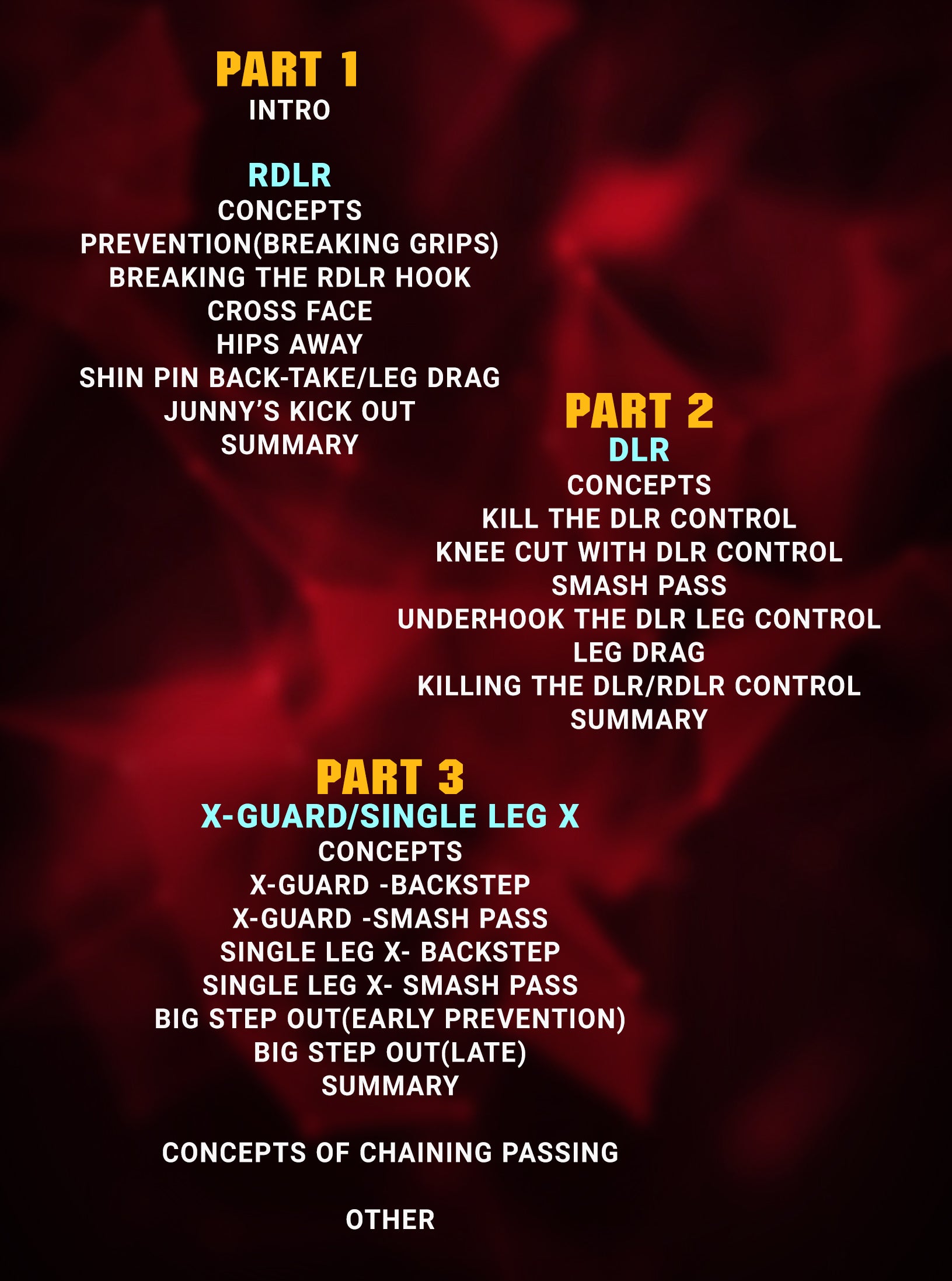 Junny's Passing The Guard: DLR/RDLR, X-Guard/Single Leg X by Junny Ocasio image 2