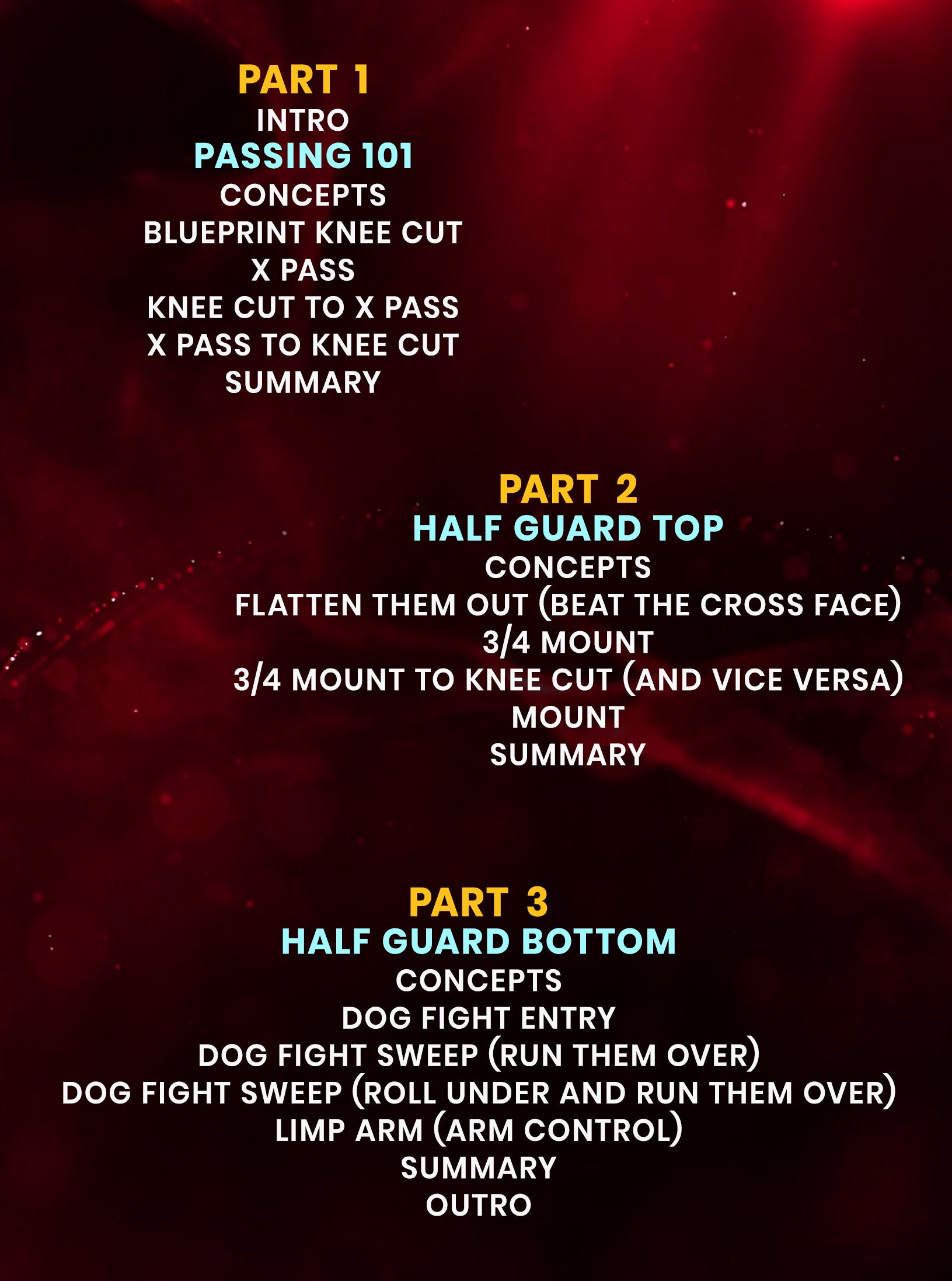 Junny's No Gi Fundamentals: Passing 101: Half Guard, Top and Bottom by Junny Ocasio image 2