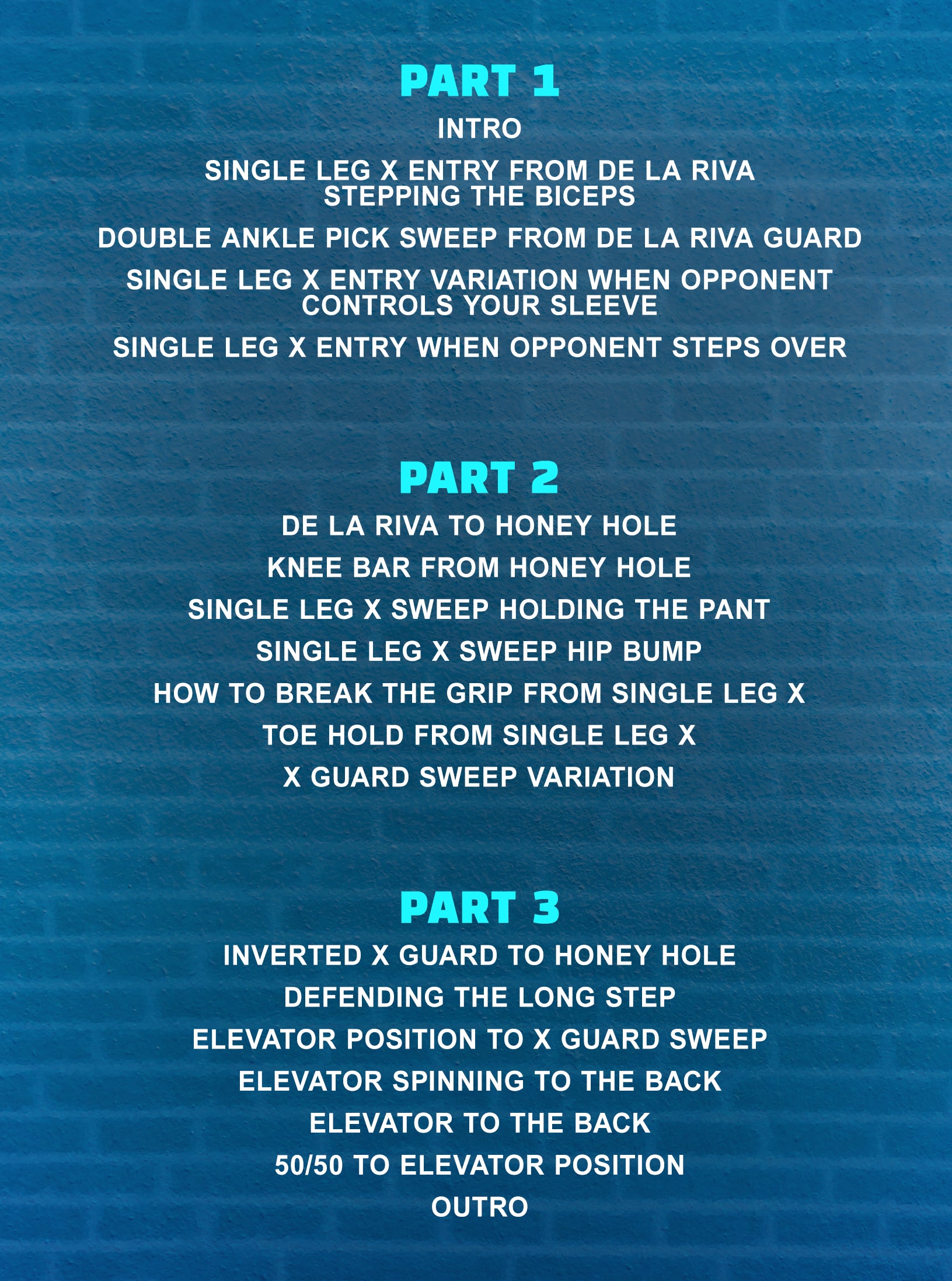 The Modern Single Leg X Guard System by Kaynan Duarte image 2