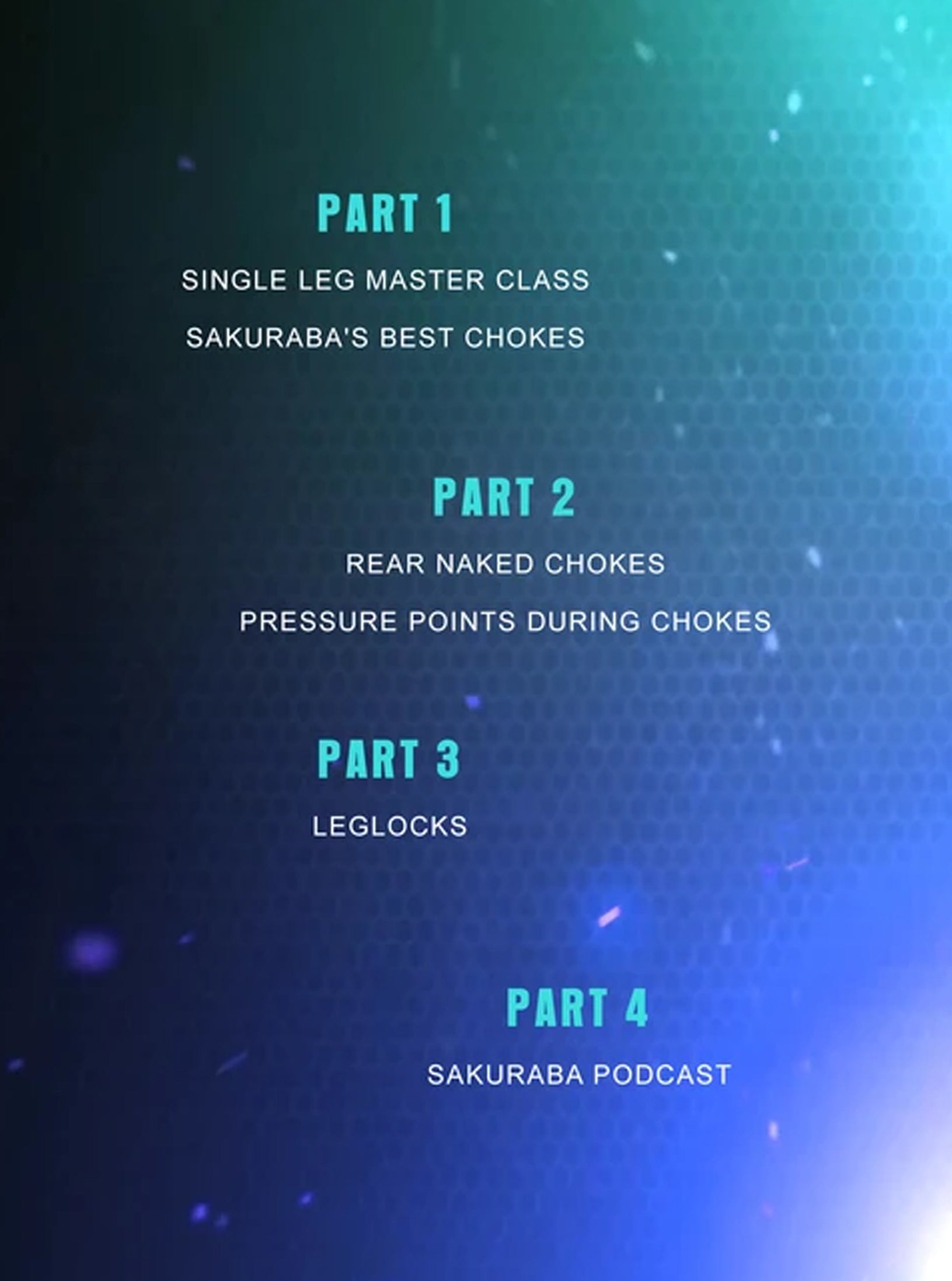 Anti Jiu Jitsu by Kazushi Sakuraba image 2