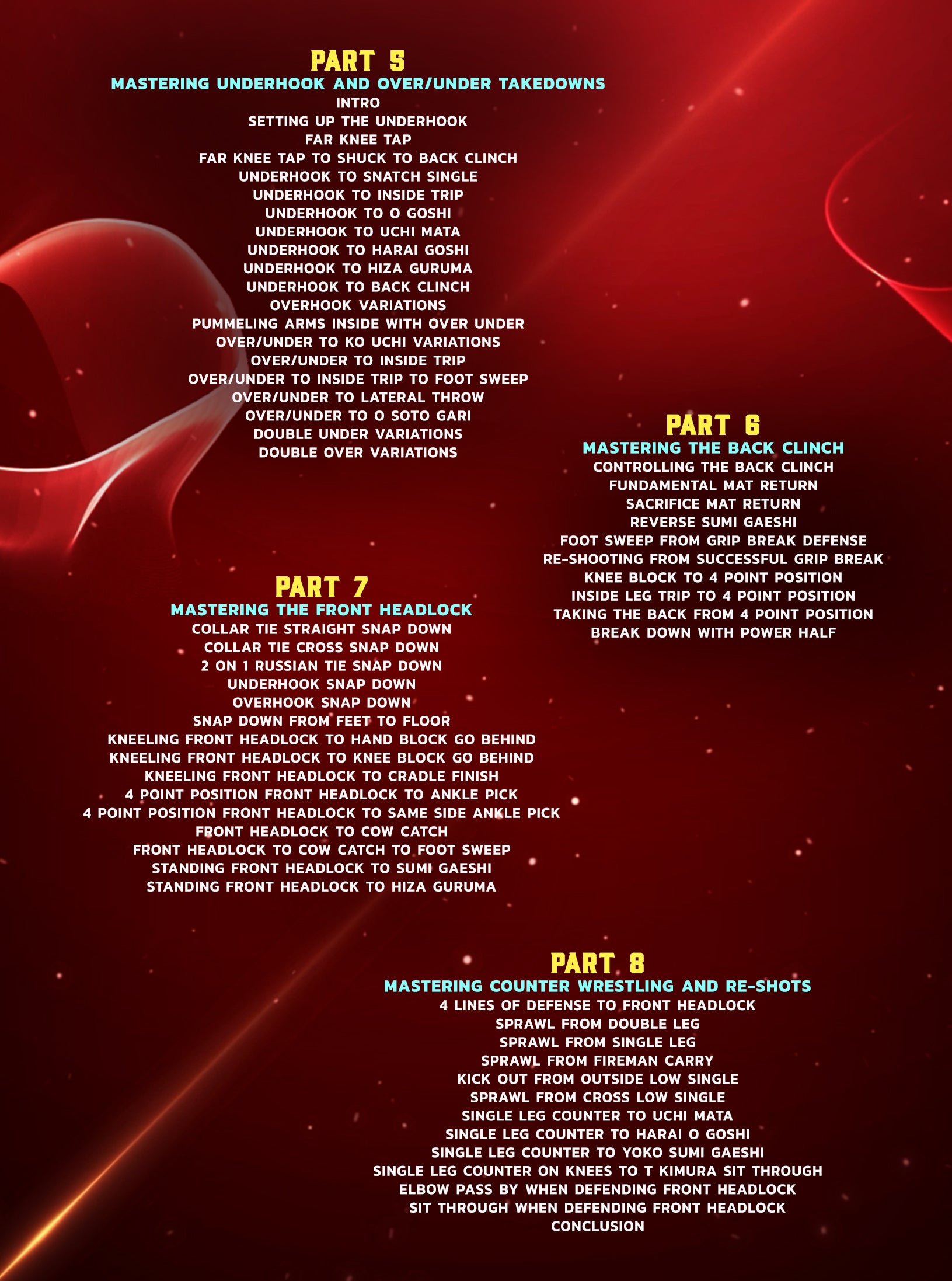 Jiu Jitsu Accelerator: Mastering No Gi Takedowns by Kendall Reusing image 4