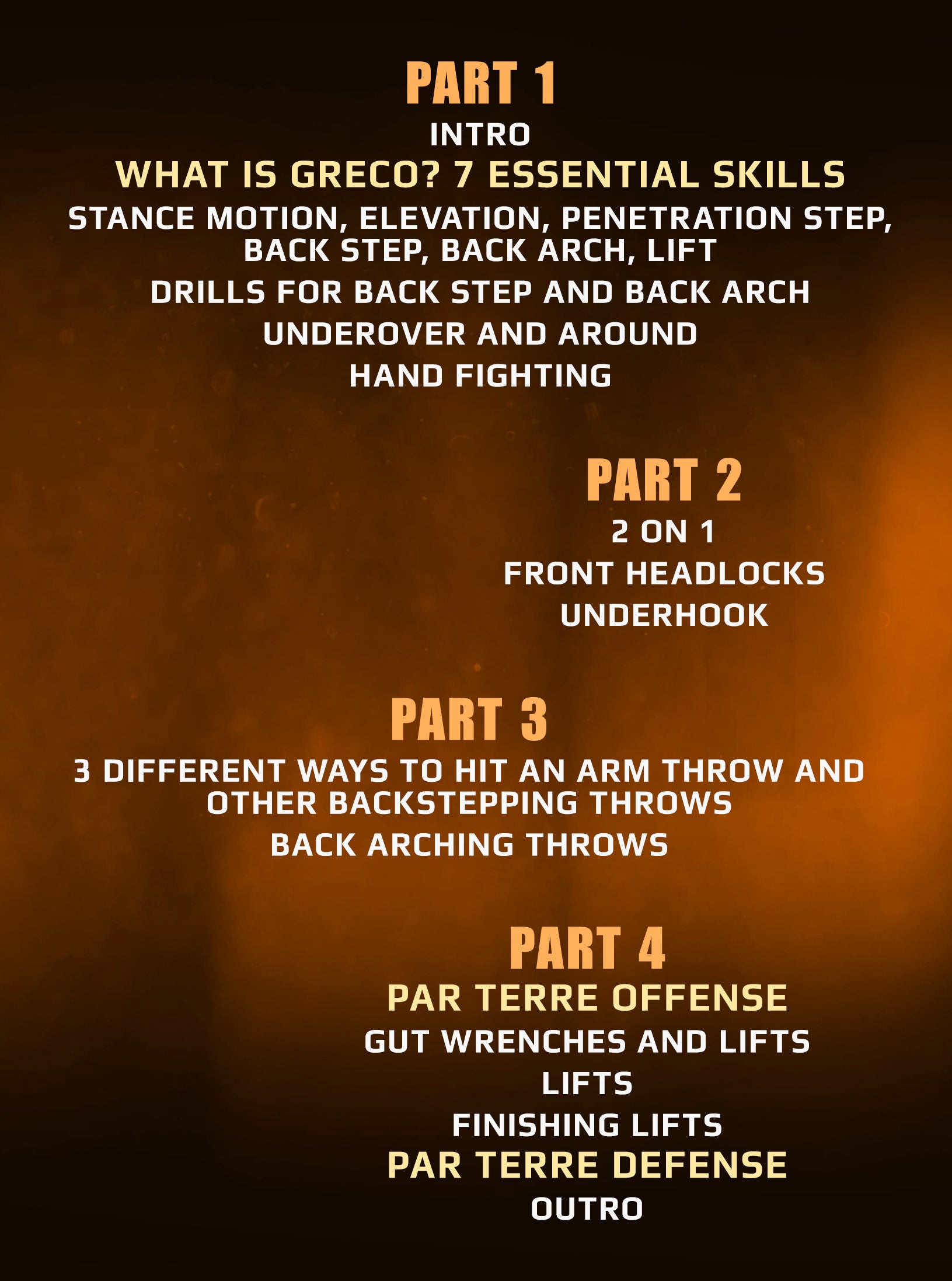 Olympian Level Greco Roman Wrestling by Matt Lindland image 2