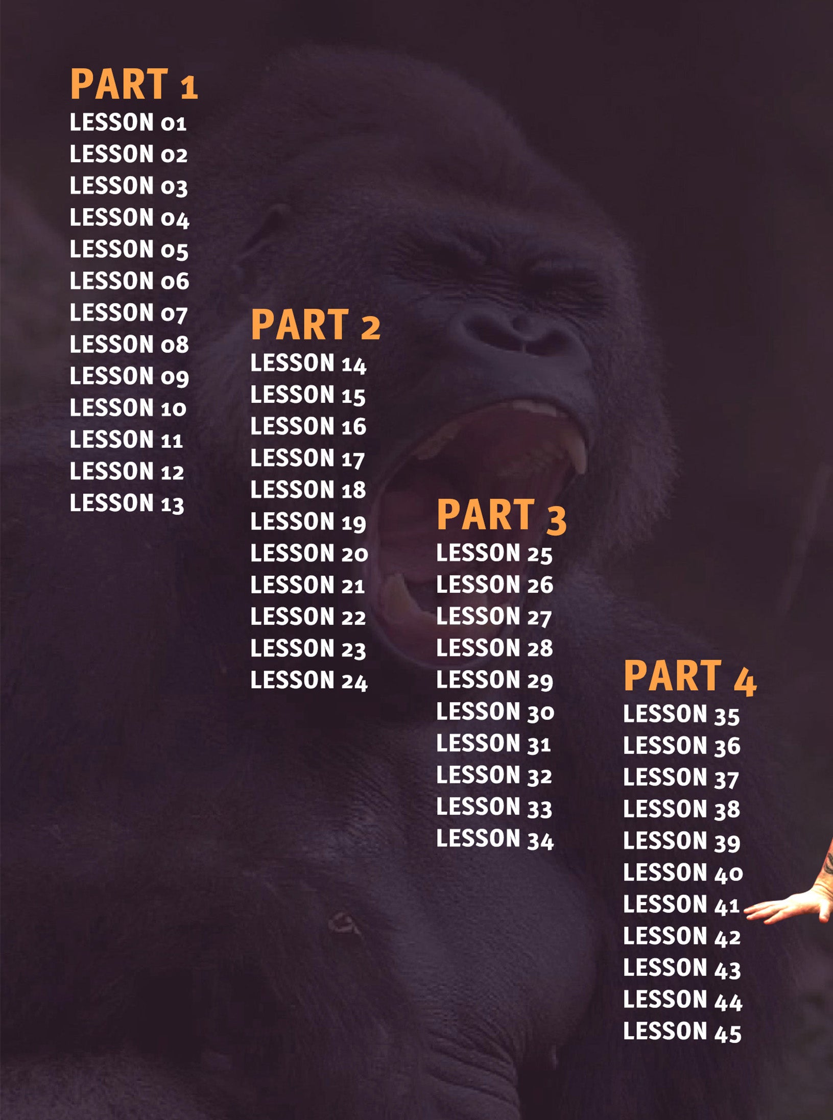 The Closed Guard Compendium by Matt Thornton image 2