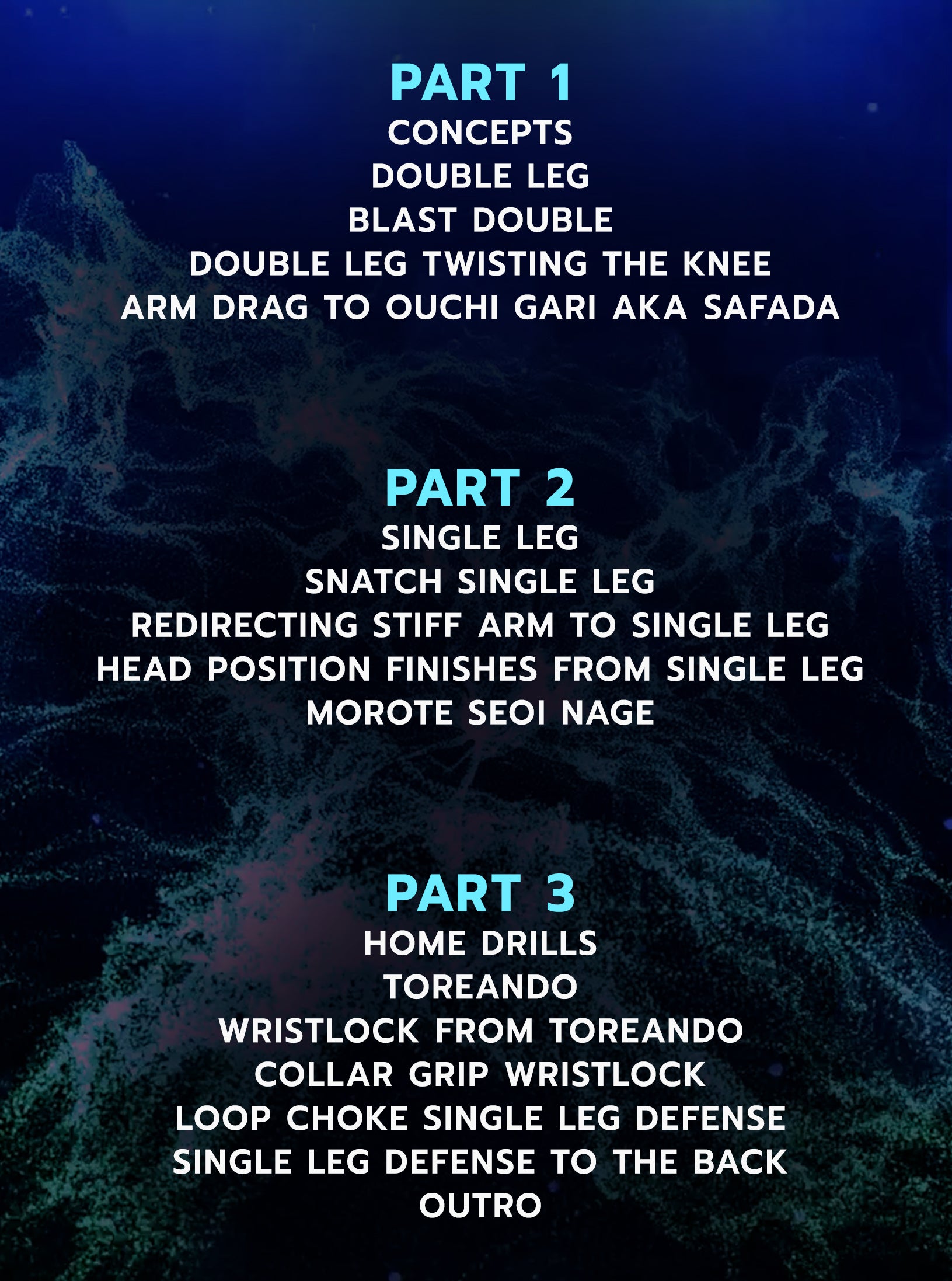 Takedowns In The Gi by Mica Galvao image 2