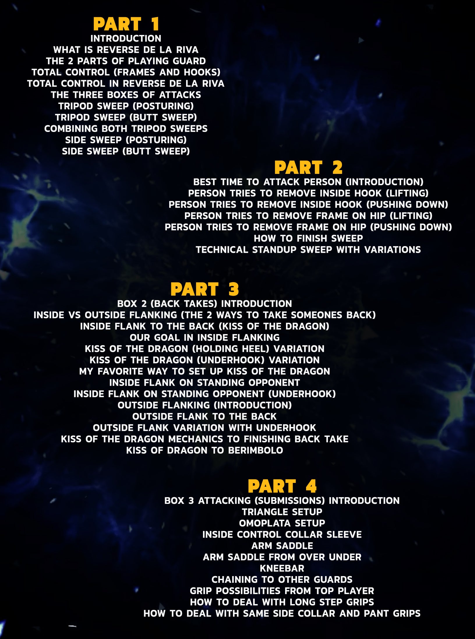 The Reverse De La Riva System by Mikey Musumeci image 2