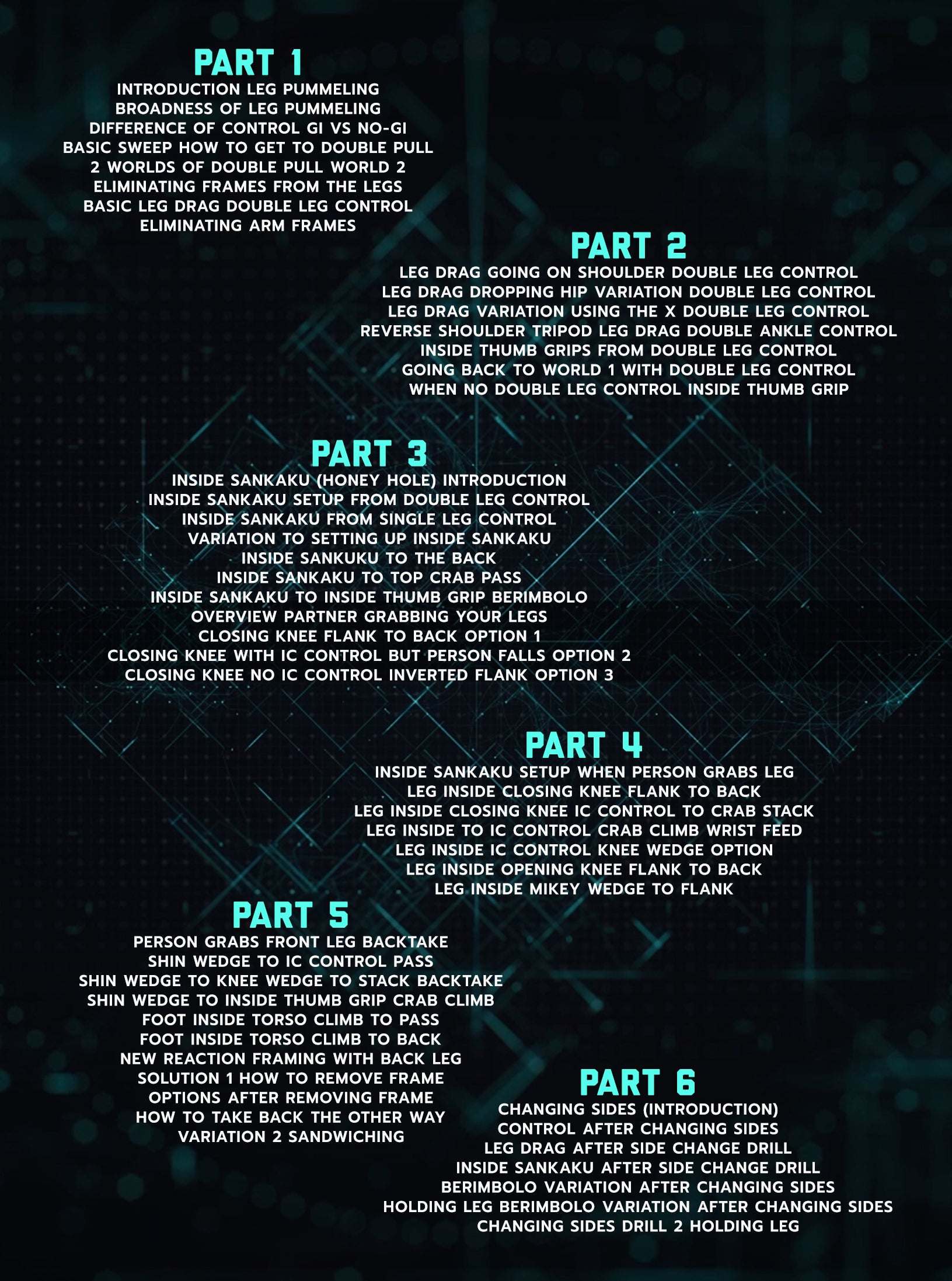 Leg Pummeling Mastery by Mikey Musumeci image 2