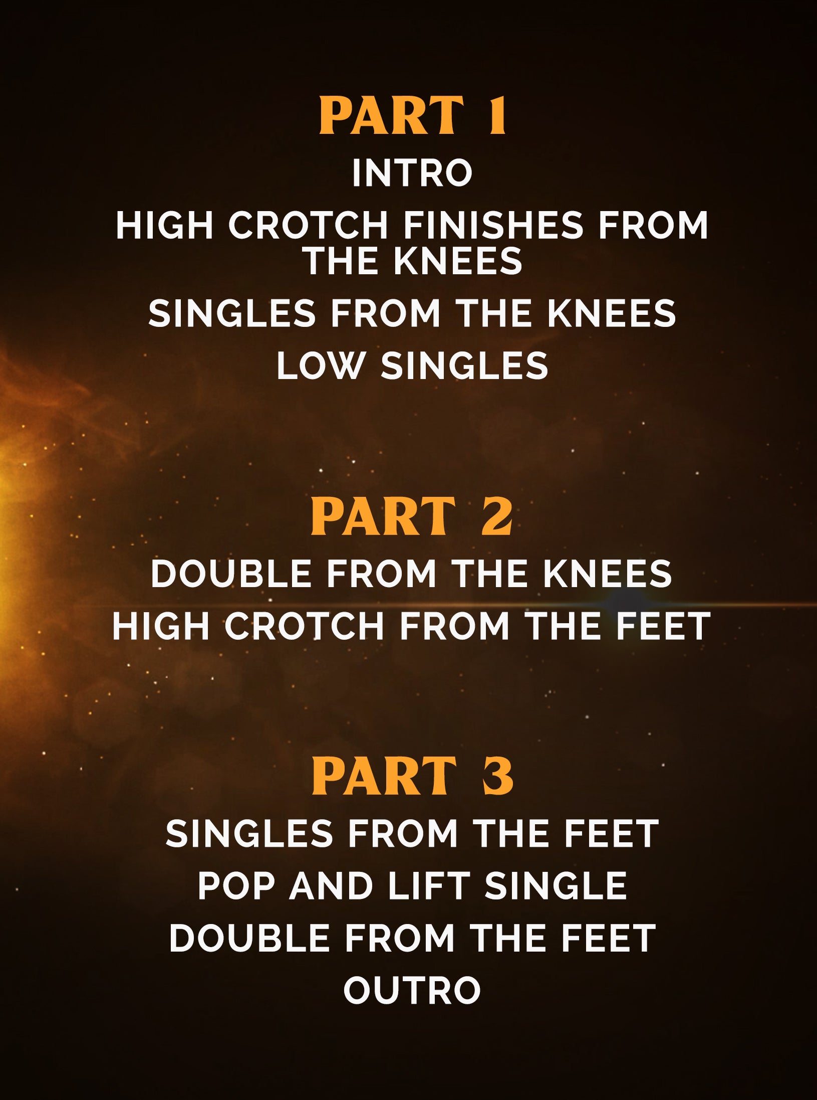 ABC's Of Finishing Takedowns by Nick Heflin image 2