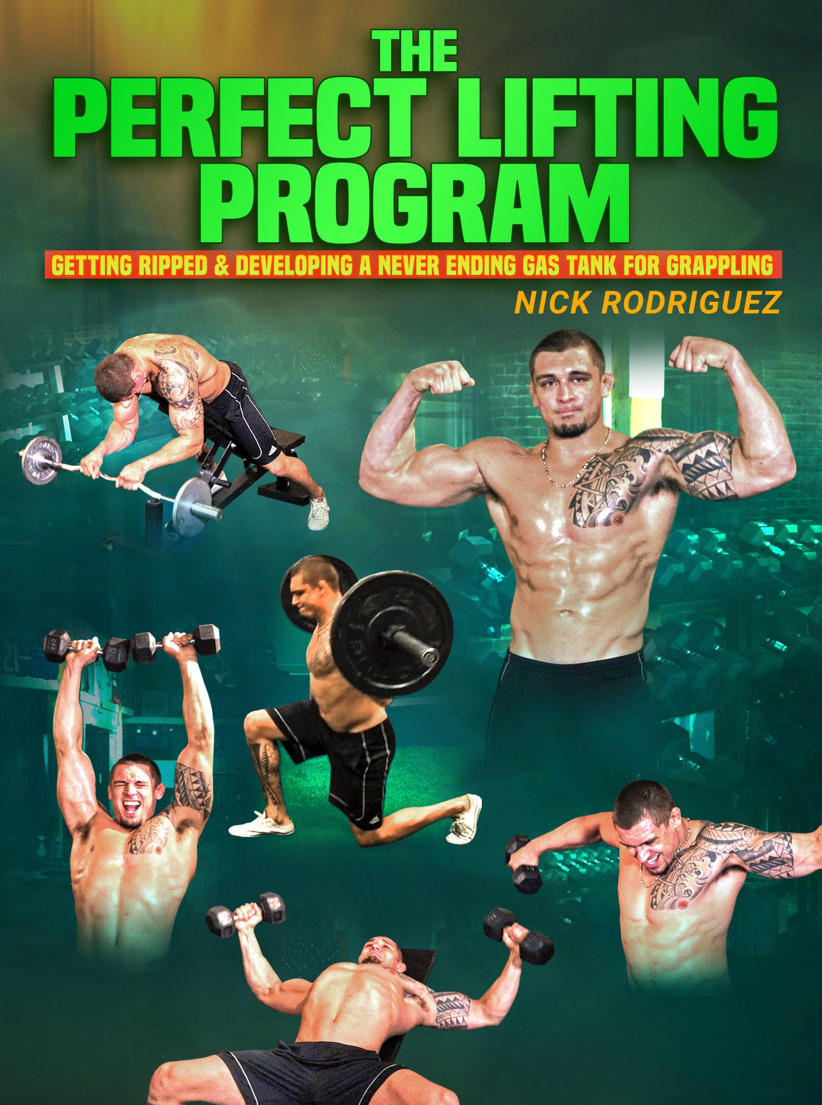 The Perfect Lifting Workout by Nick Rodriguez image 1