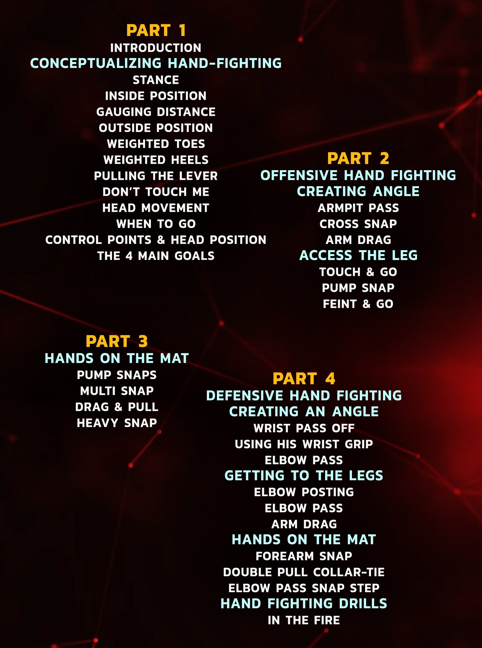 Nicky Rod's Slay the Hand Fight: Offensive and & Counter Offensive Hand Fighting by Nick Rodriguez image 2