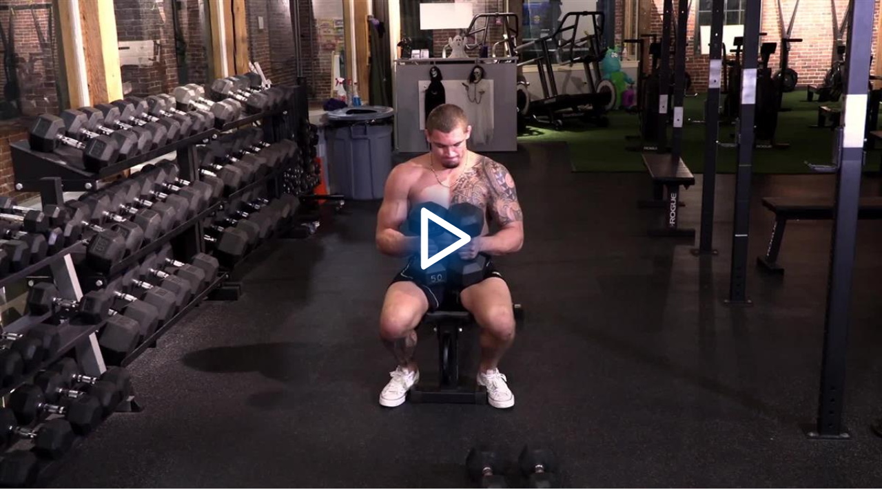 The Perfect Lifting Workout by Nick Rodriguez image 3