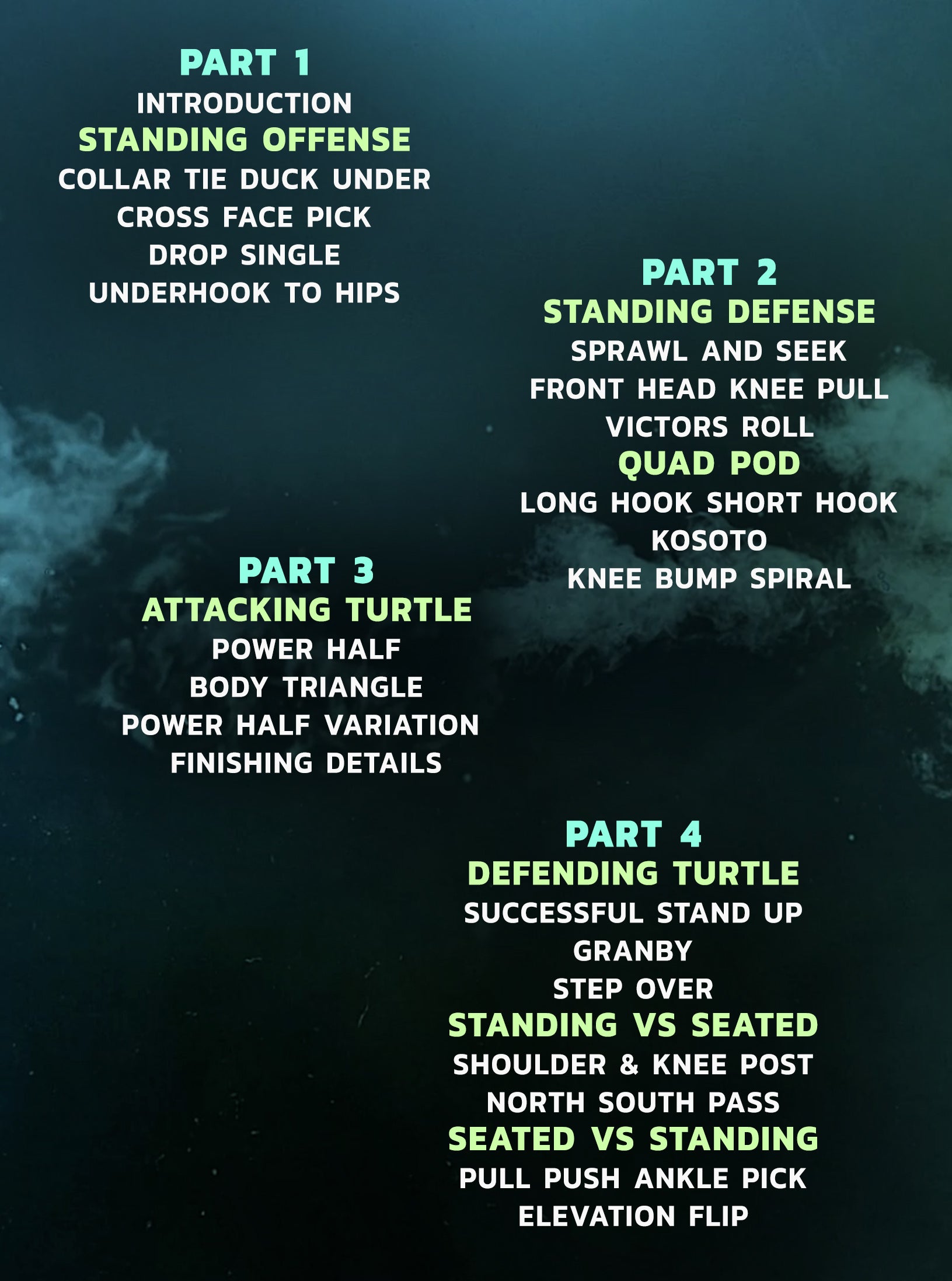 Takedowns 2 Back Control by Nick Rodriguez image 2