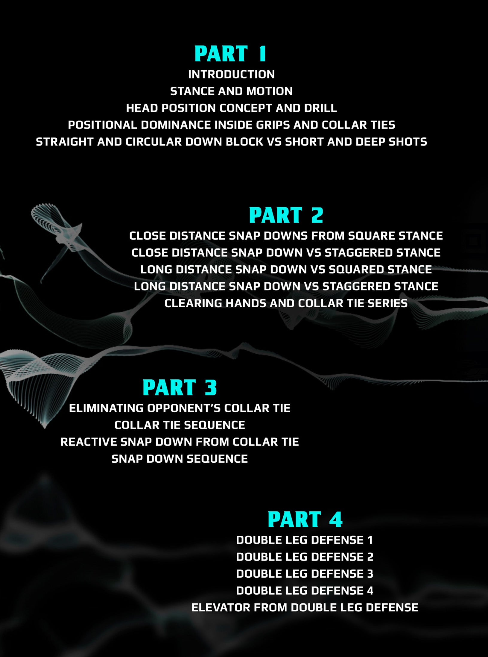 Defending No Gi Takedowns by Nick Rodriguez image 2