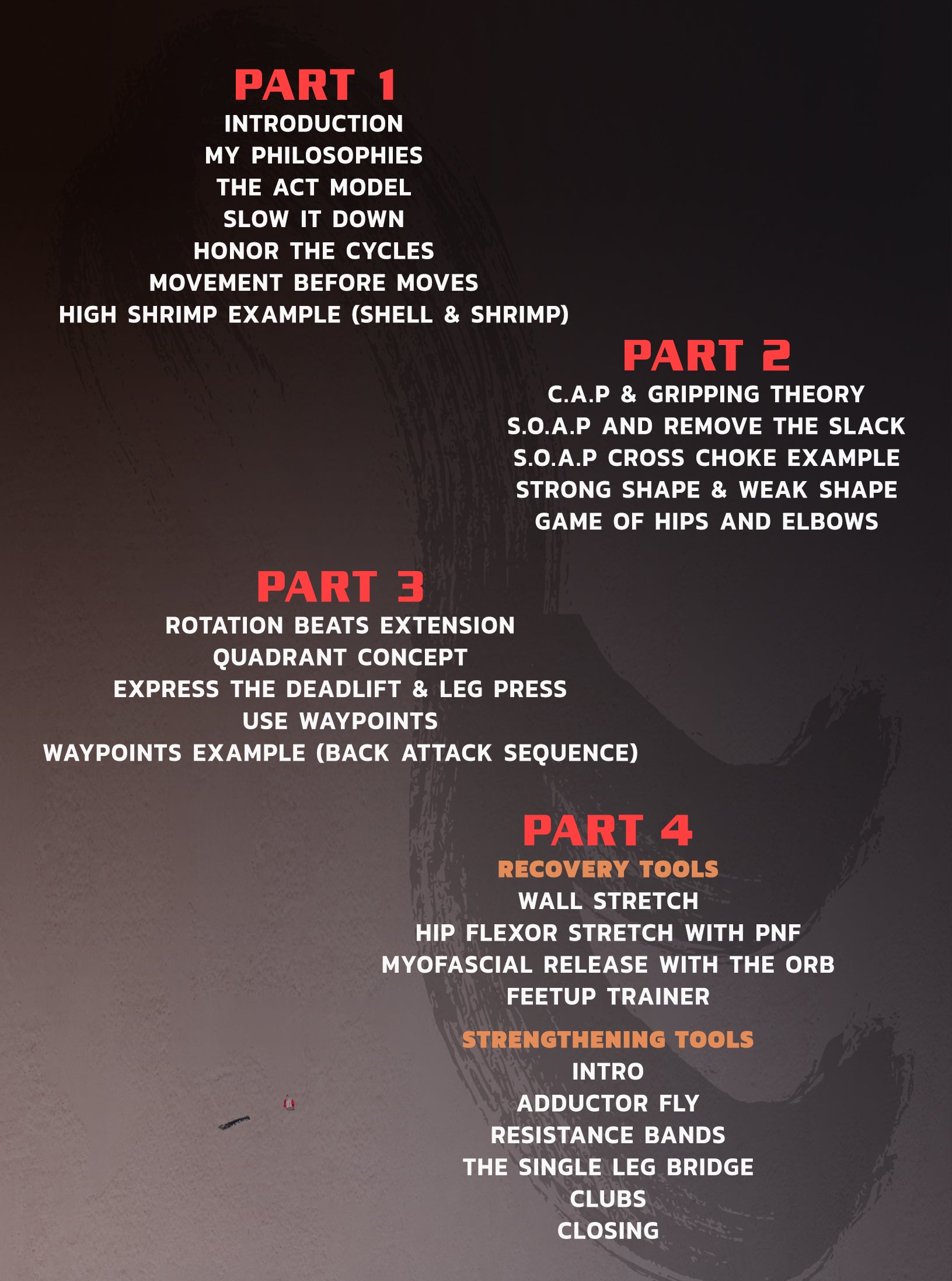 Jiu Jitsu For a Lifetime by Nicolas Gregoriades image 2