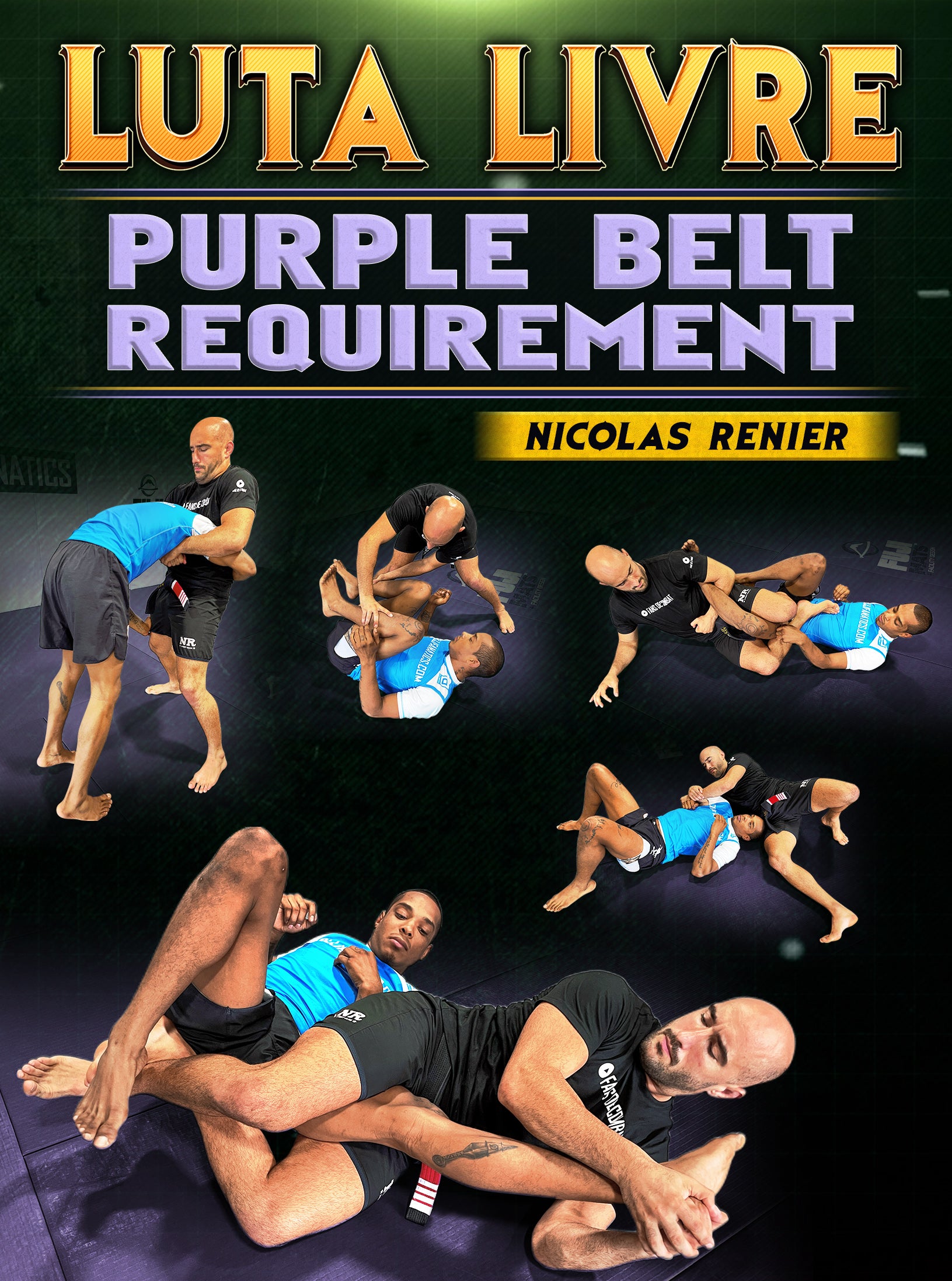 Luta Livre: Purple Belt Requirement by Nicolas Renier image 1