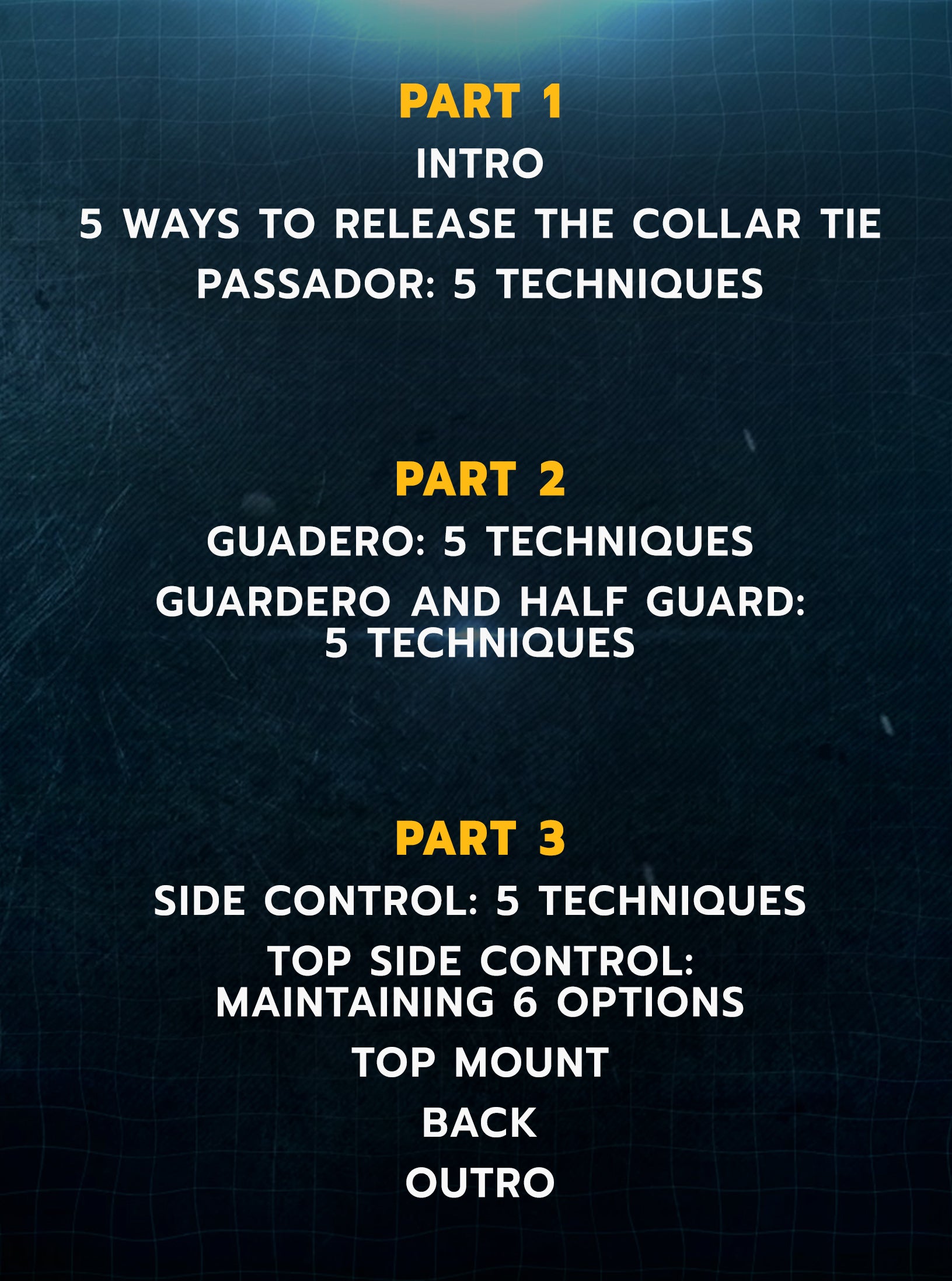 Luta Livre: Blue Belt Requirement by Nicolas Renier image 2