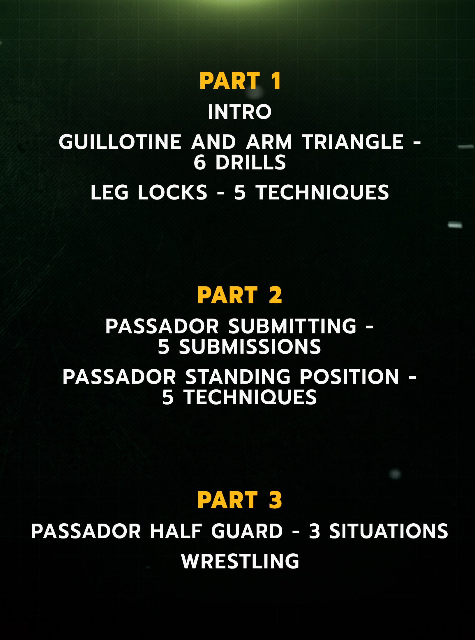 Luta Livre: Purple Belt Requirement by Nicolas Renier image 2