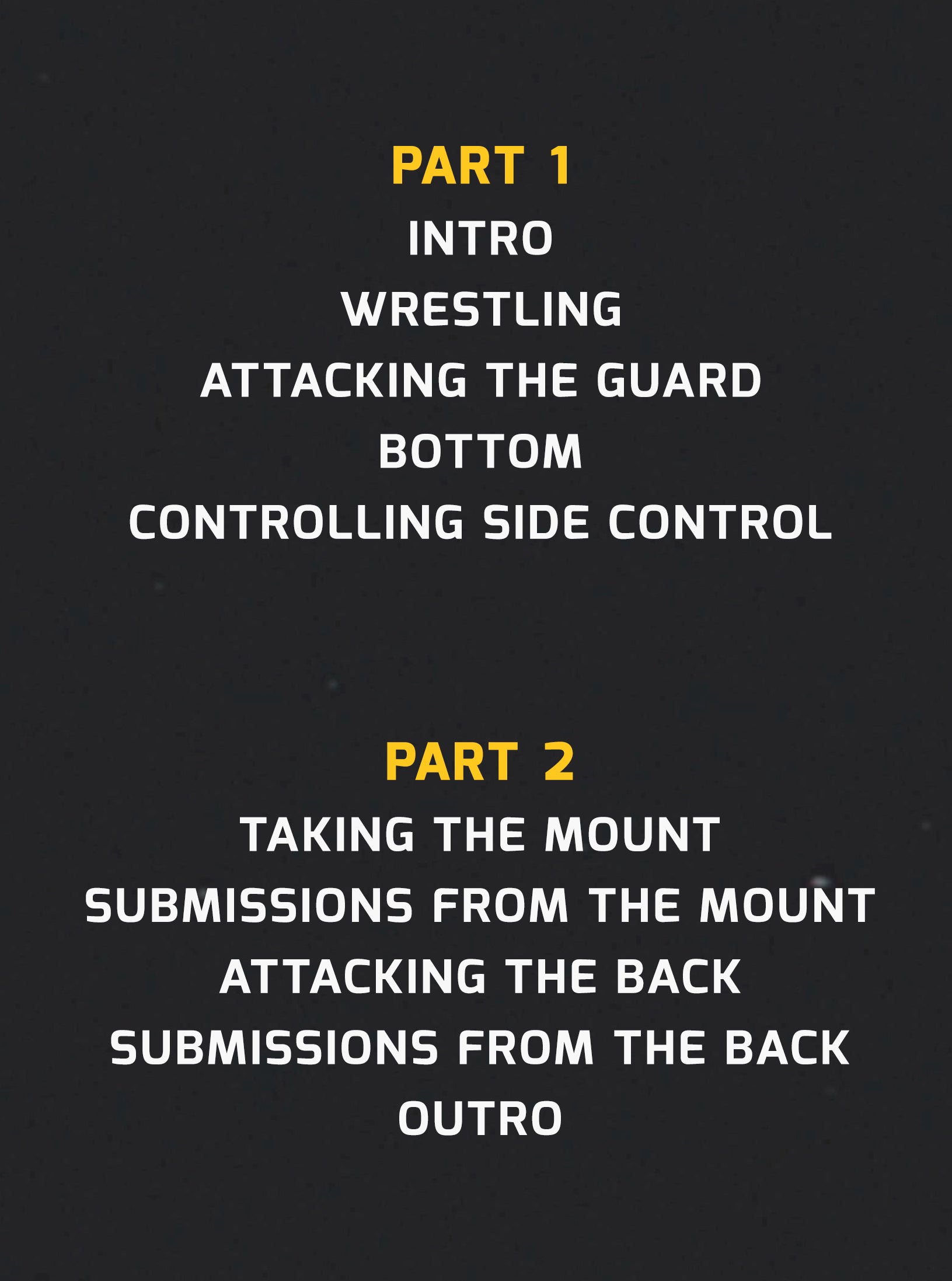 Luta Livre: Orange Belt Requirements by Nicolas Renier image 2