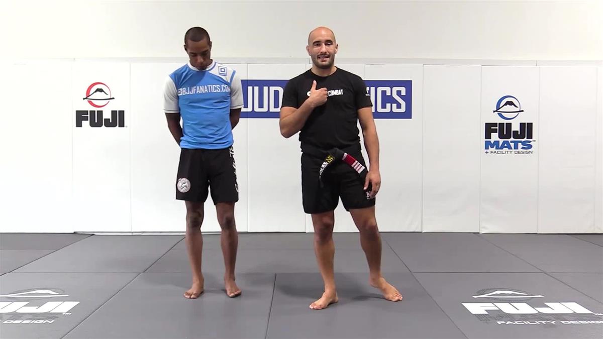 Luta Livre: Purple Belt Requirement by Nicolas Renier image 4