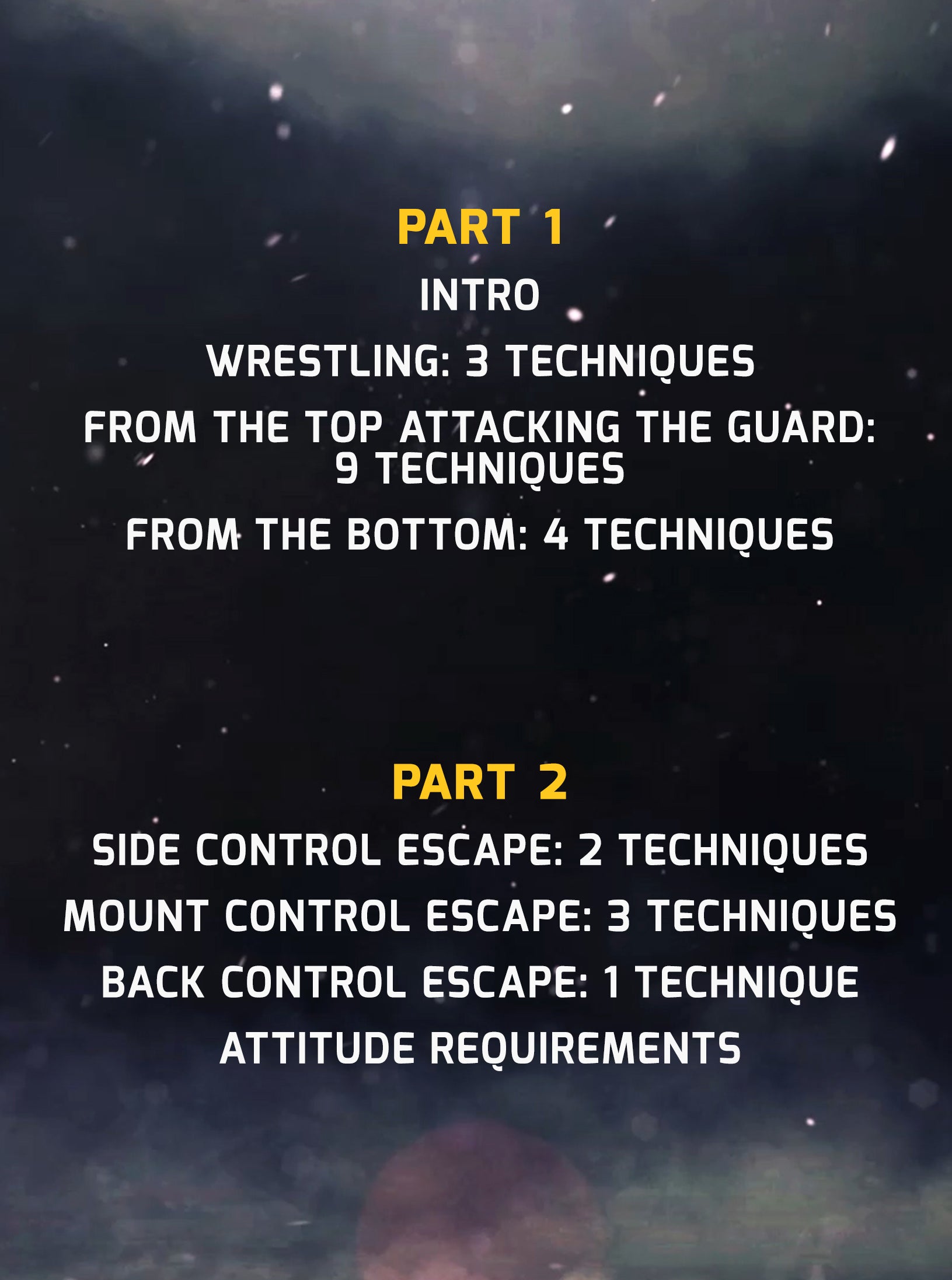 Luta Livre: Yellow Belt Requirements by Nicolas Renier image 2