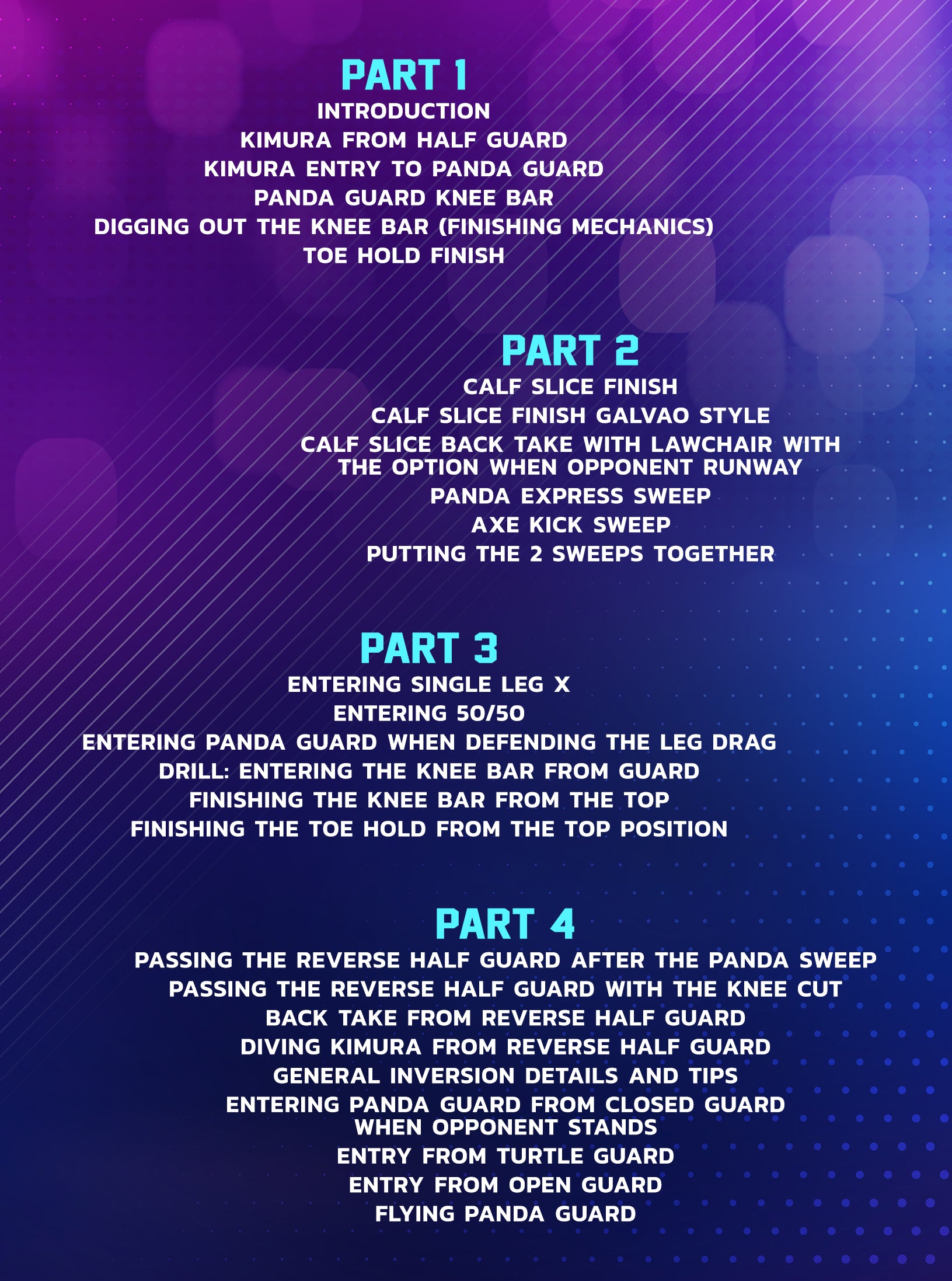 The Panda Guard by Nikki Sullivan image 2