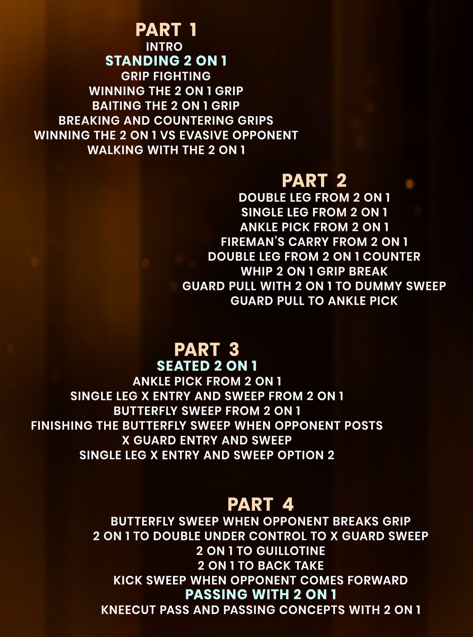 2 on 1 Control No Gi by Marcelo Garcia image 2