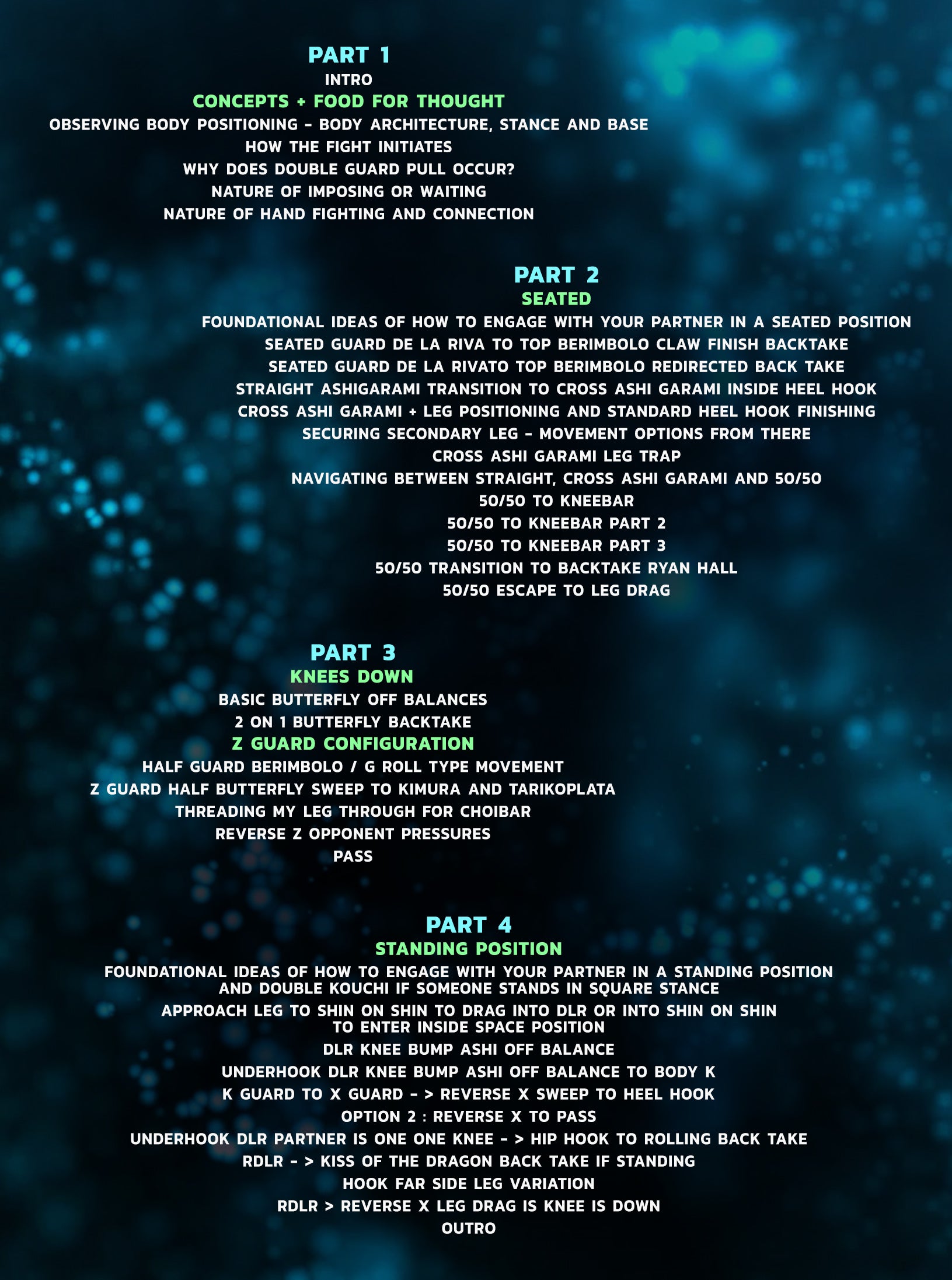 Zen Guide To Submission Grappling by Margot Ciccarelli image 2