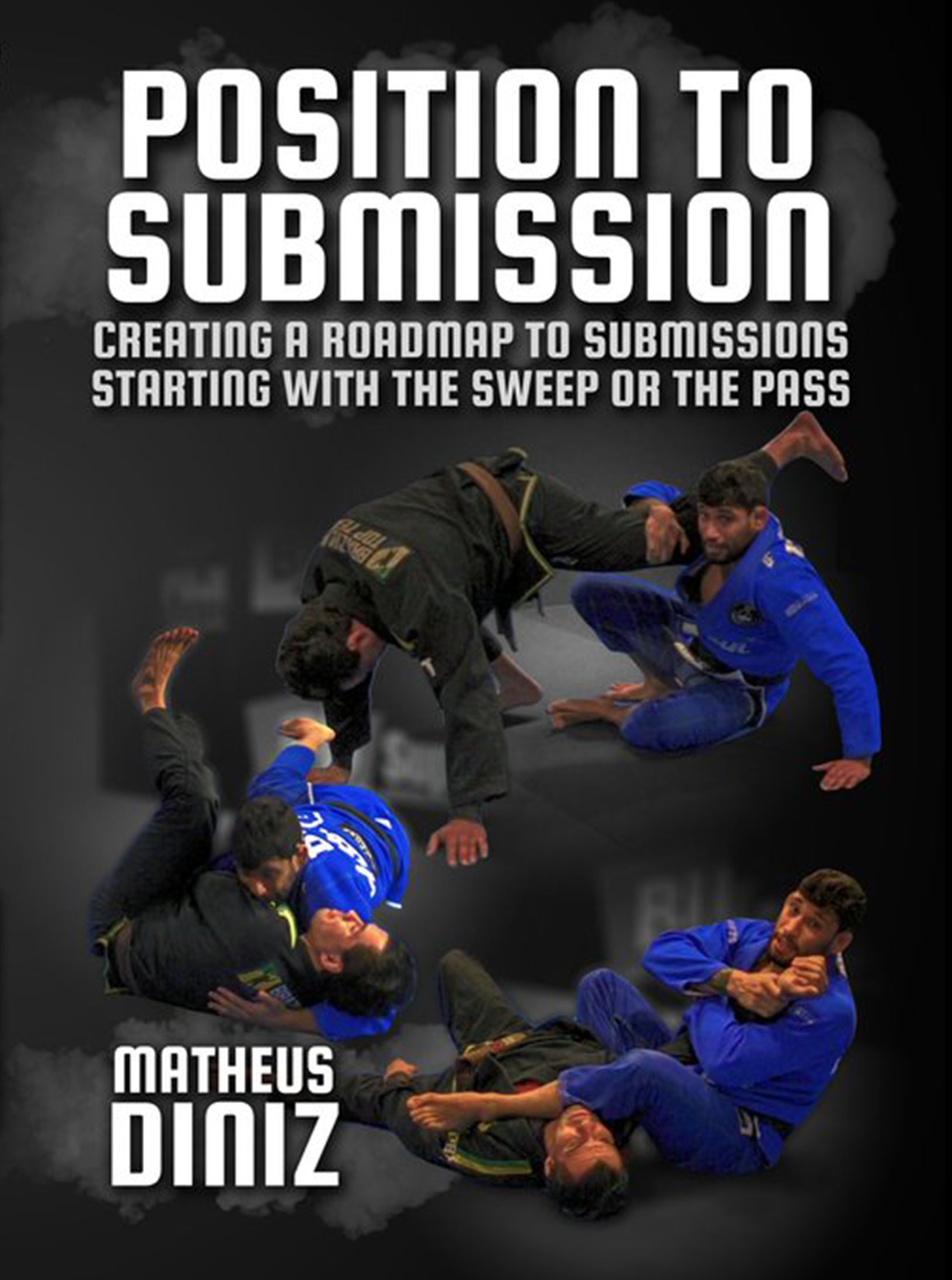 Position to Submission by Matheus Diniz image 1