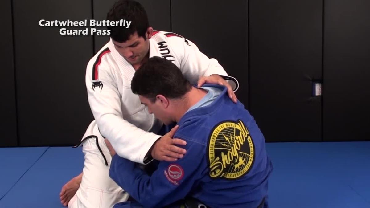 Jiu-Jitsu Domination (Smash. Pass. Finish) By Rodolfo Vieira image 2