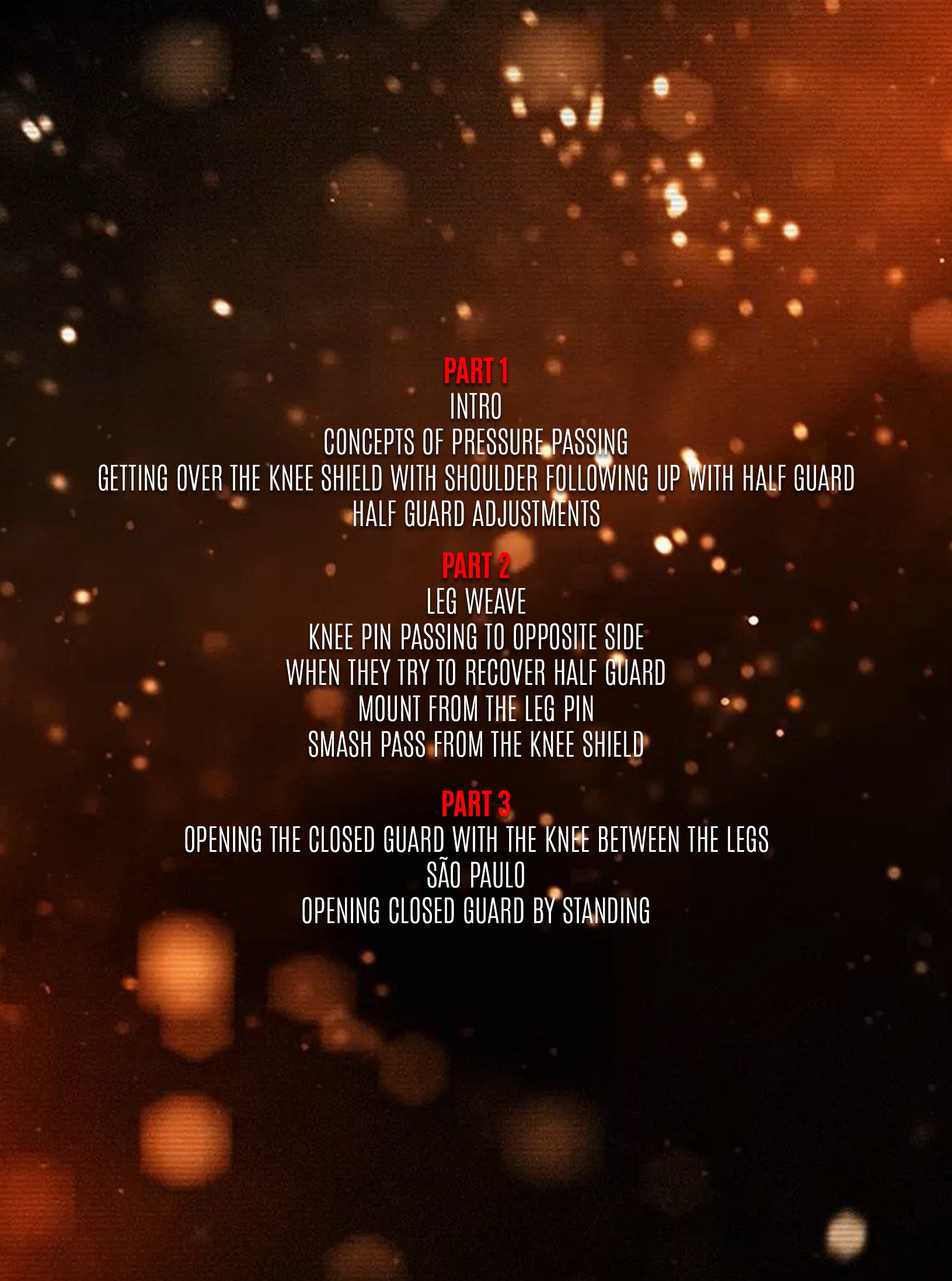 Roger Gracie Guard Passing System by Roger Gracie image 2