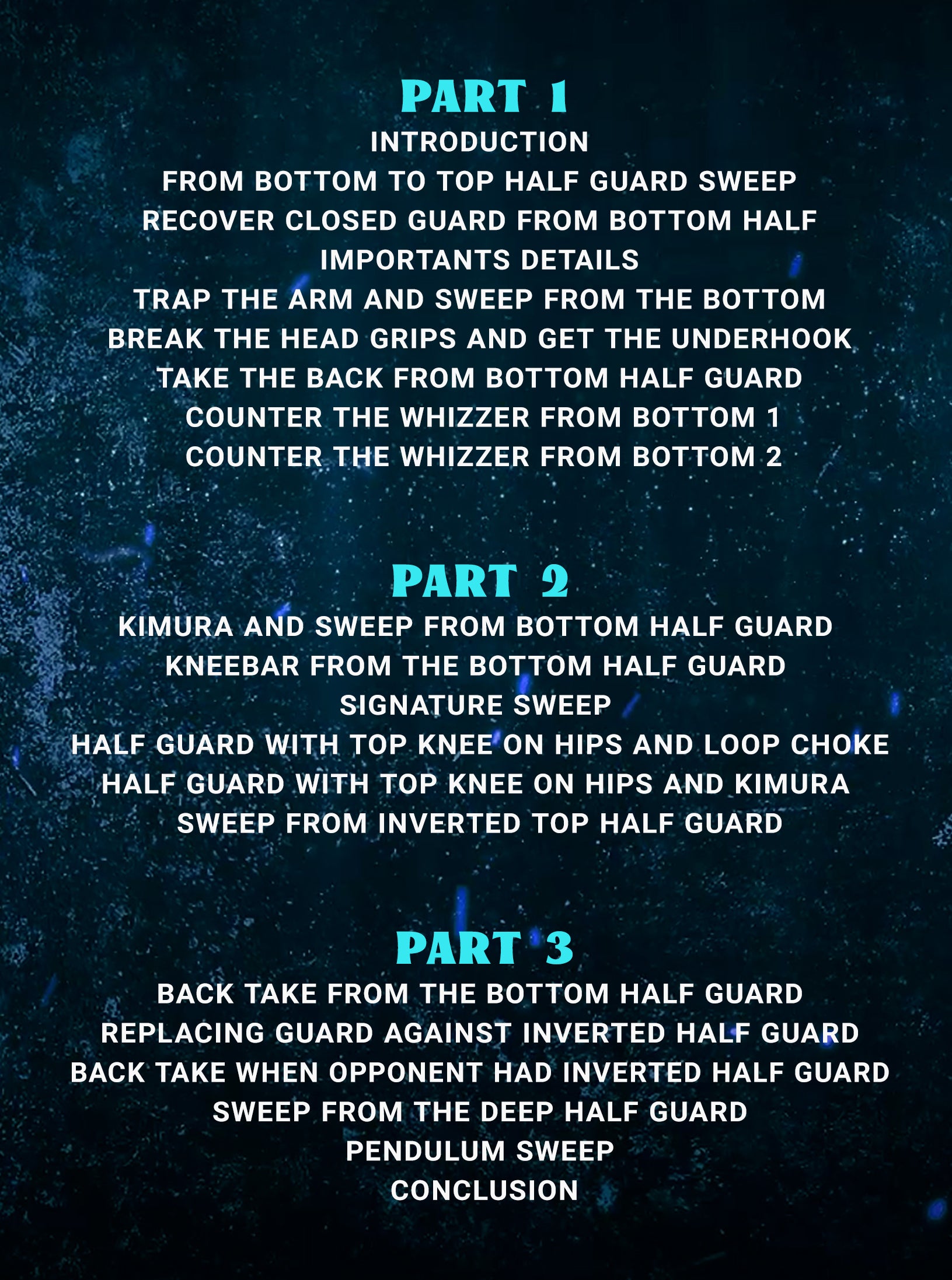 The Roger Gracie Half Guard System by Roger Gracie image 2